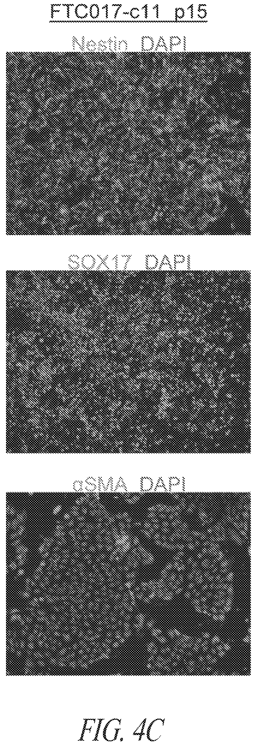 Patent US12618049 Figure 16 – Reprogramming methods and cell culture platforms