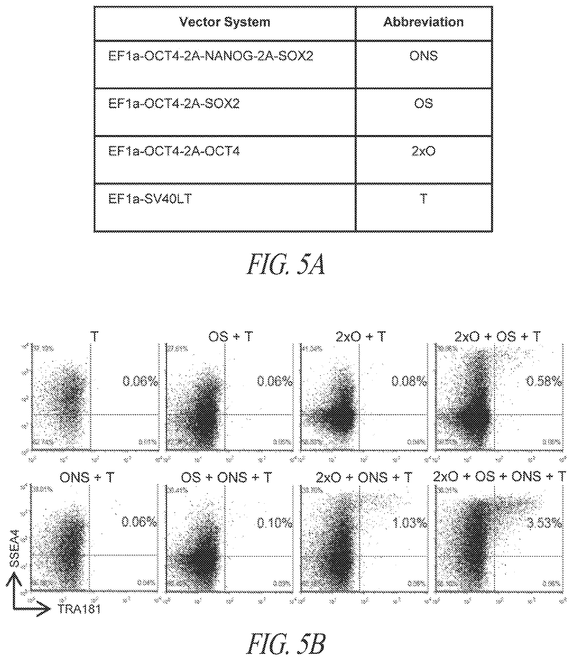 Patent US12618049 Figure 19 – Reprogramming methods and cell culture platforms