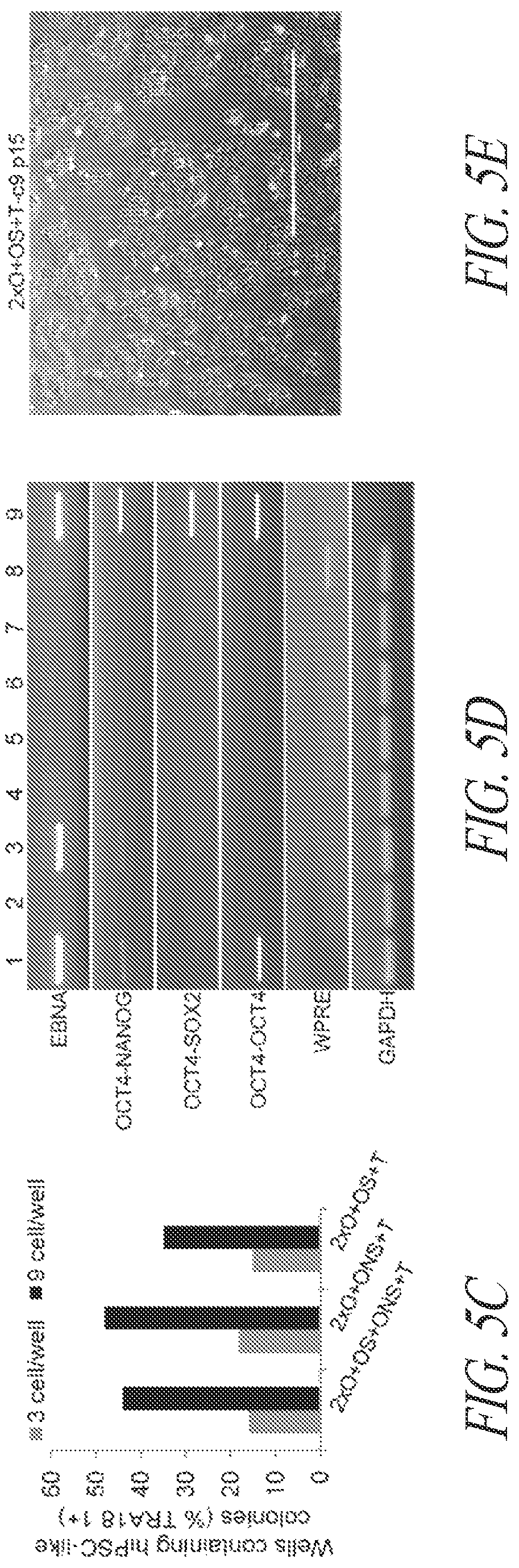 Patent US12618049 Figure 20 – Reprogramming methods and cell culture platforms