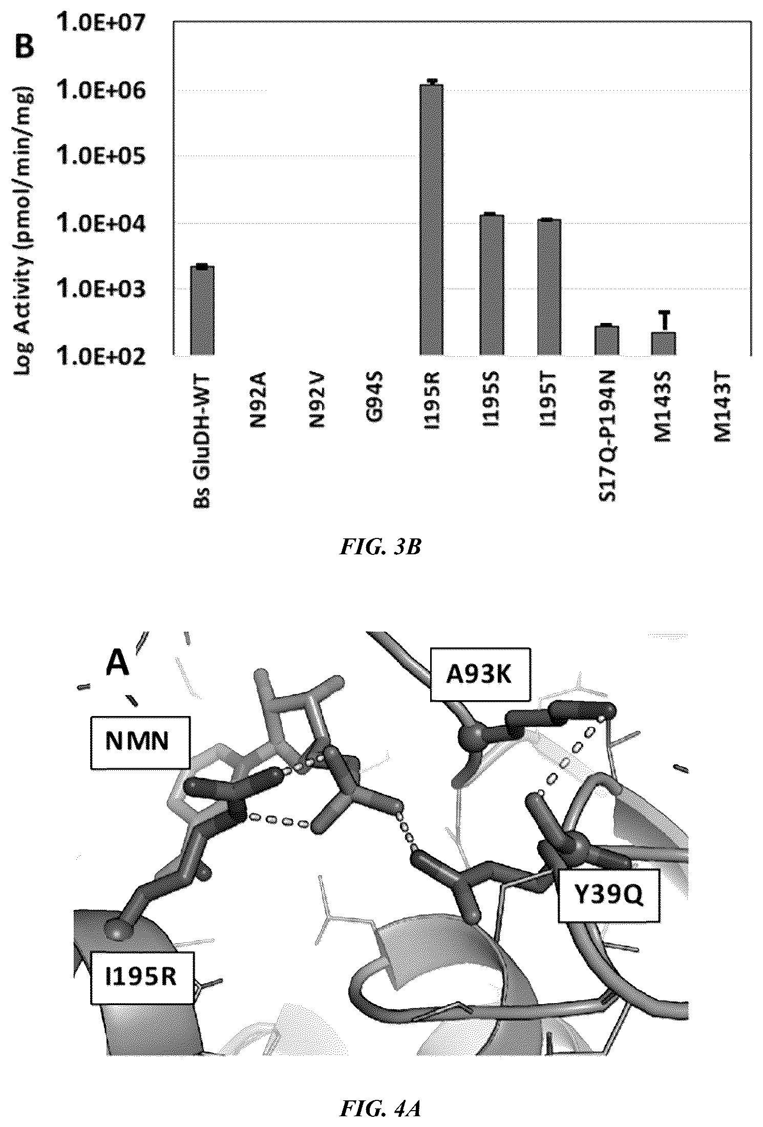 Patent US12618050 Figure 3 – Engineered polypeptides that exhibit increased catalytic efficiency for unnatural cofactors and uses thereof