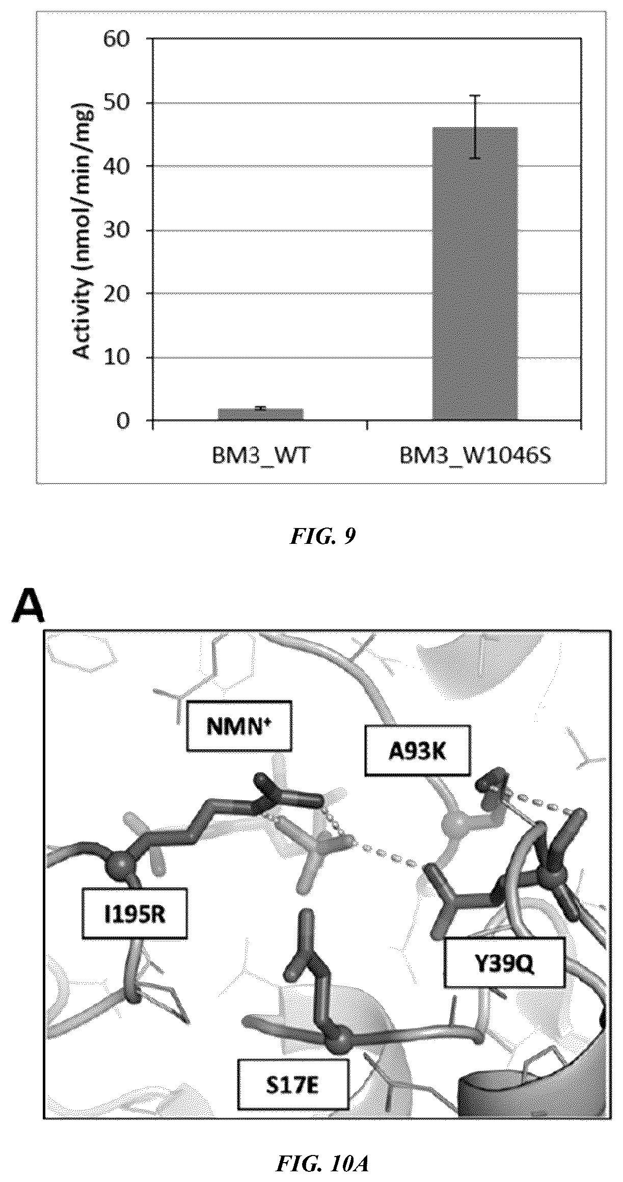 Patent US12618050 Figure 8 – Engineered polypeptides that exhibit increased catalytic efficiency for unnatural cofactors and uses thereof