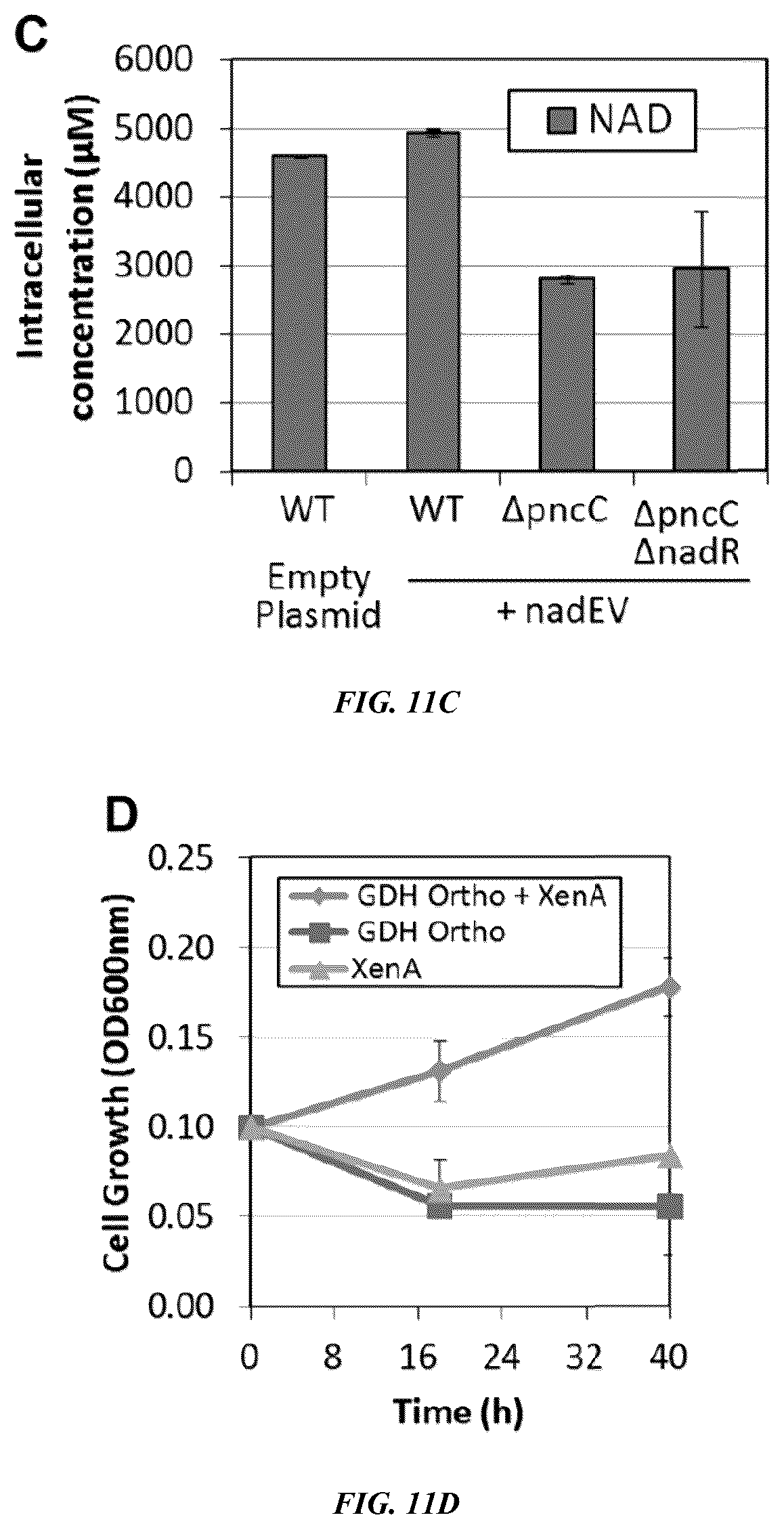 Patent US12618050 Figure 11 – Engineered polypeptides that exhibit increased catalytic efficiency for unnatural cofactors and uses thereof