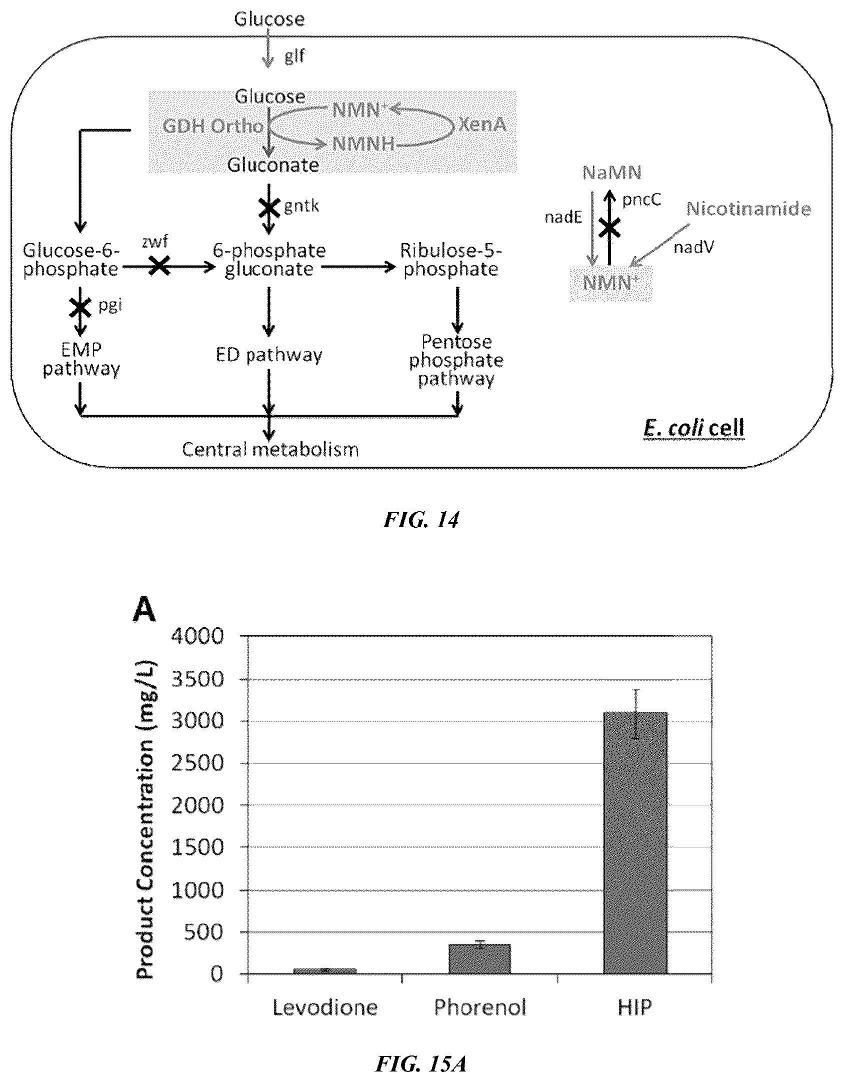 Patent US12618050 Figure 16 – Engineered polypeptides that exhibit increased catalytic efficiency for unnatural cofactors and uses thereof