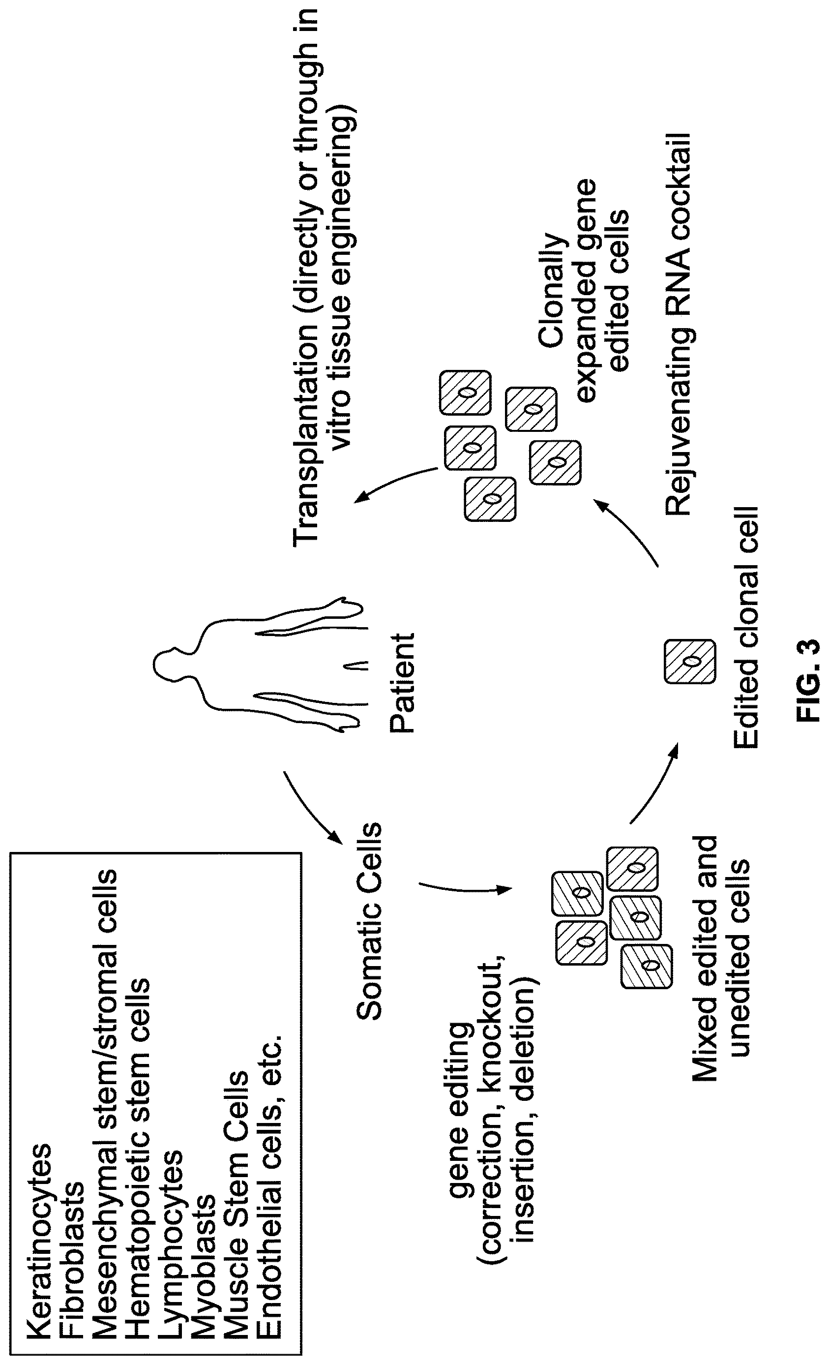 Patent US12618053 Figure 3 – Methods and compositions for cell and tissue rejuvenation