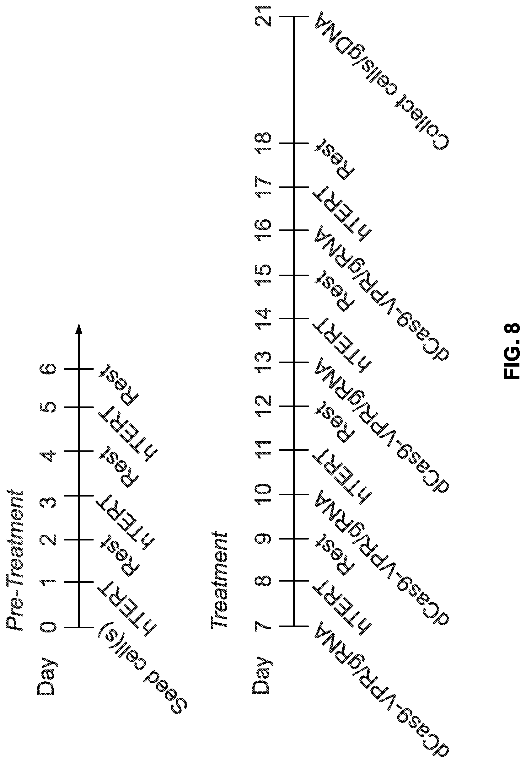 Patent US12618053 Figure 8 – Methods and compositions for cell and tissue rejuvenation