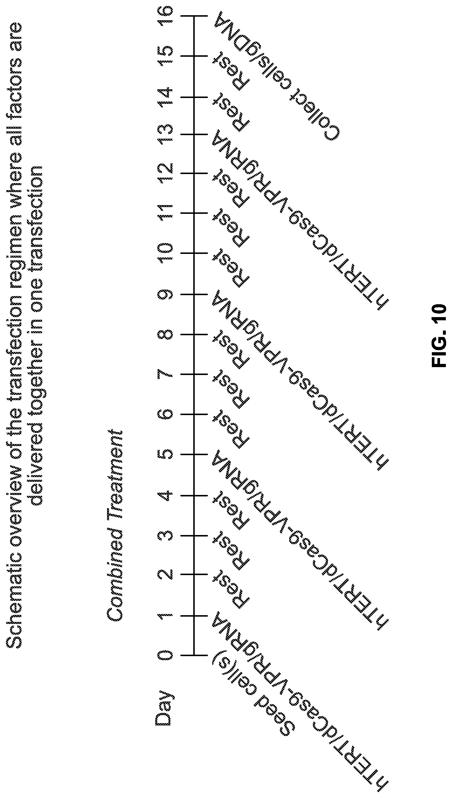 Patent US12618053 Figure 10 – Methods and compositions for cell and tissue rejuvenation