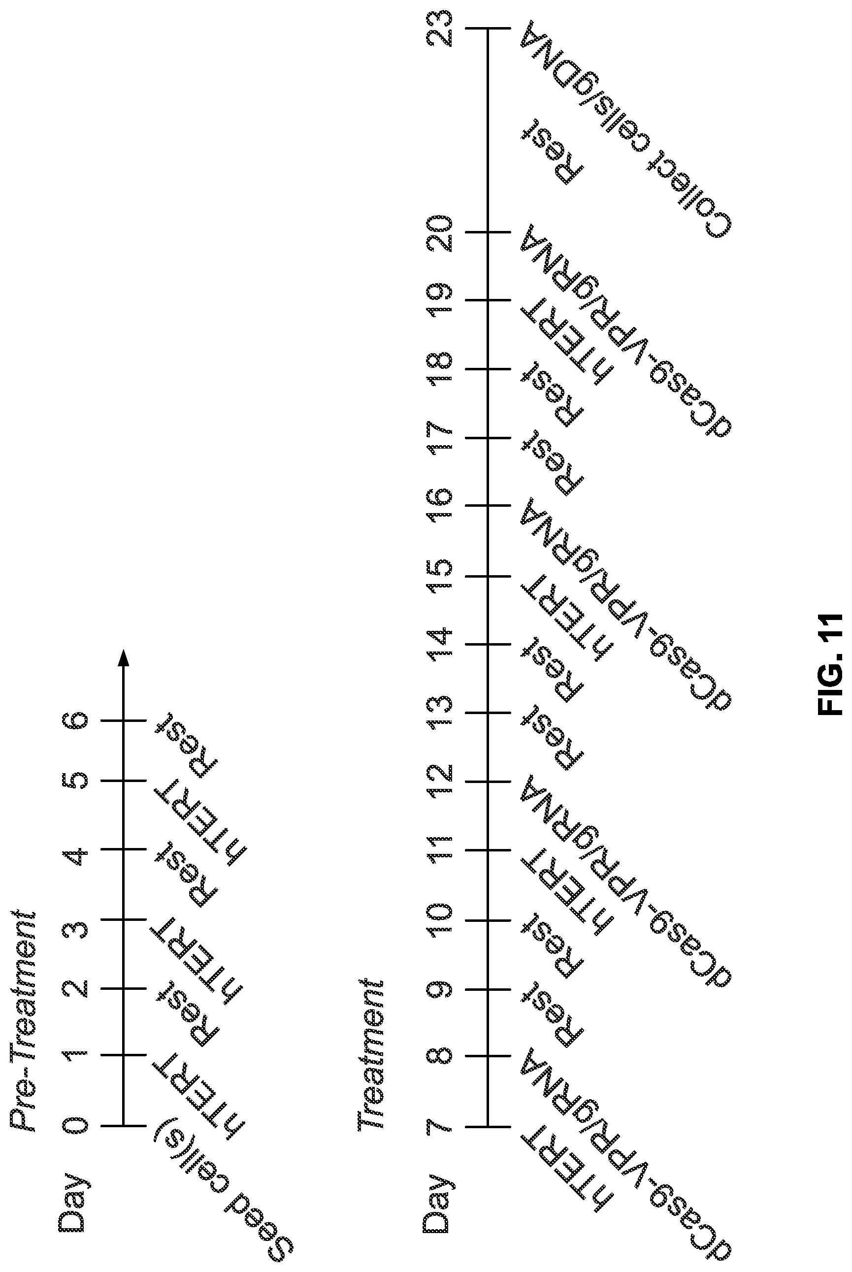 Patent US12618053 Figure 11 – Methods and compositions for cell and tissue rejuvenation