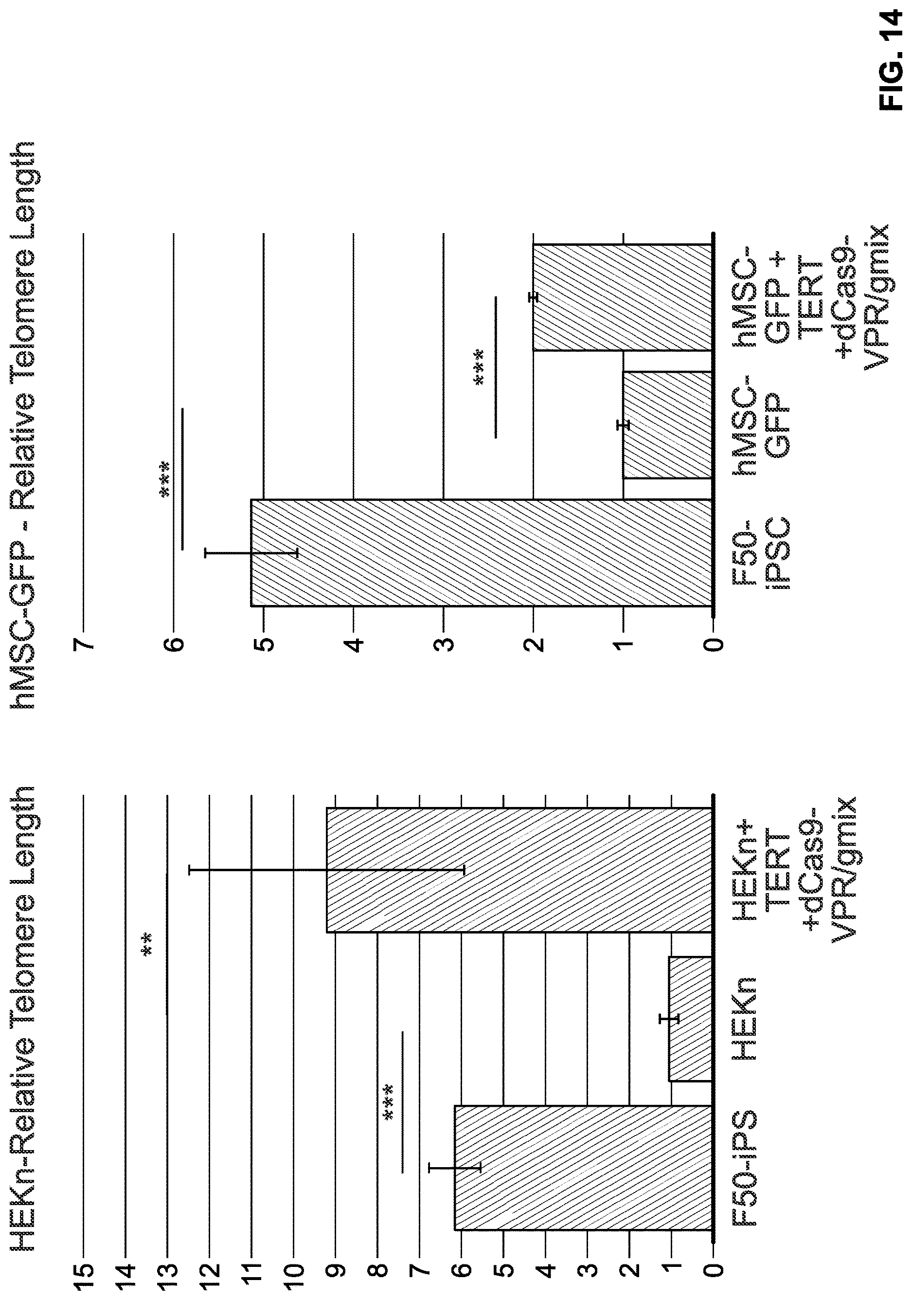 Patent US12618053 Figure 14 – Methods and compositions for cell and tissue rejuvenation
