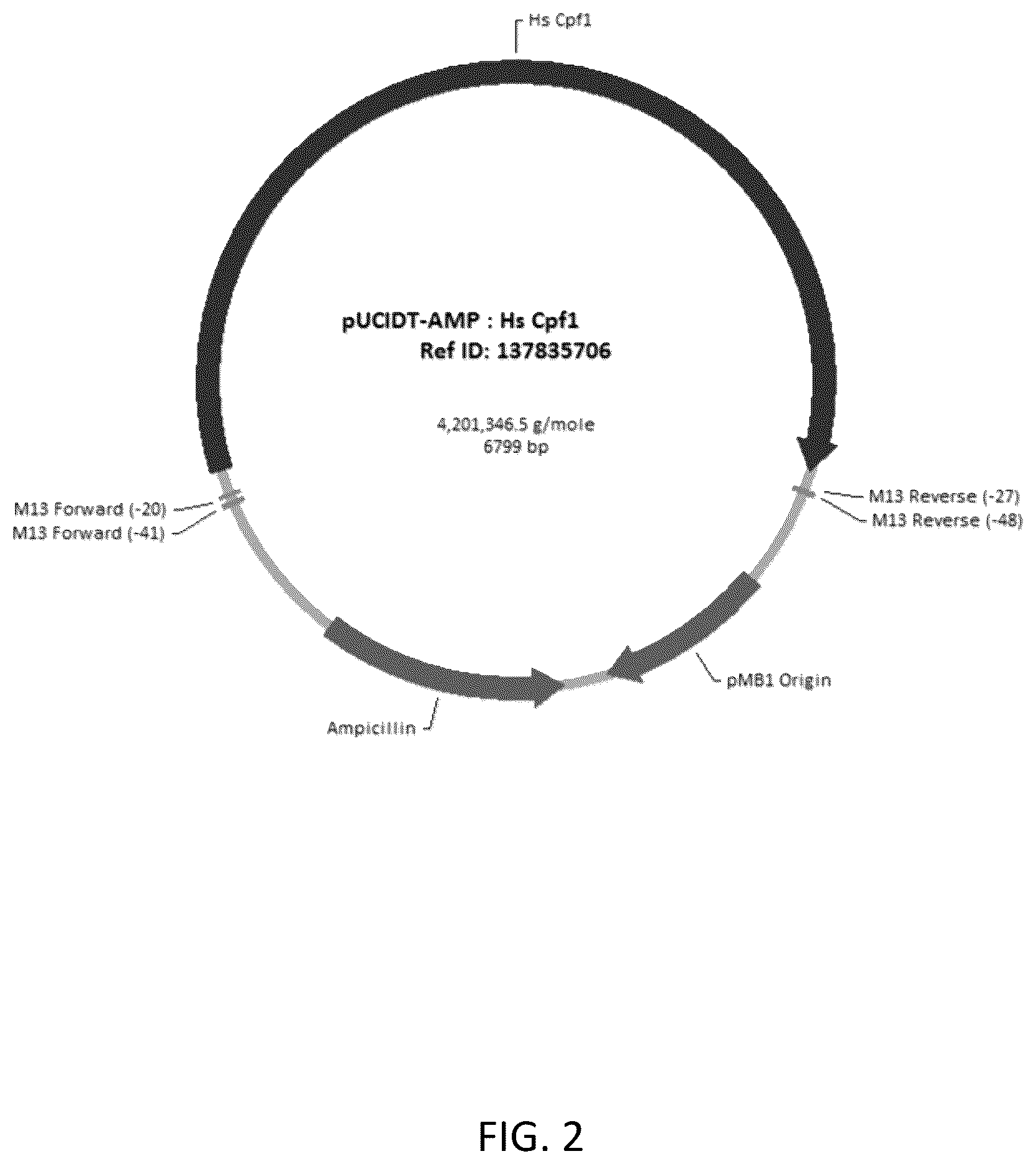 Patent US12618054 Figure 2 – CRISPR/Cpf1 systems and methods