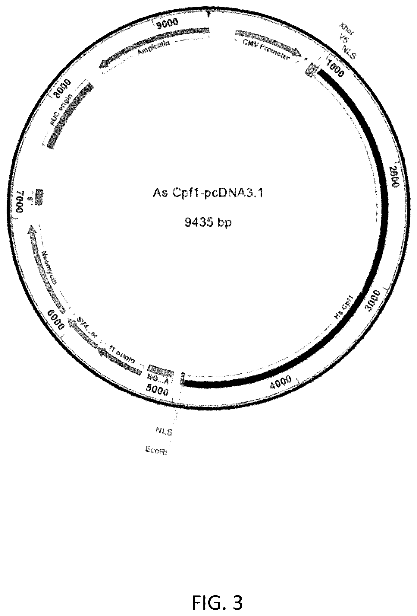Patent US12618054 Figure 3 – CRISPR/Cpf1 systems and methods