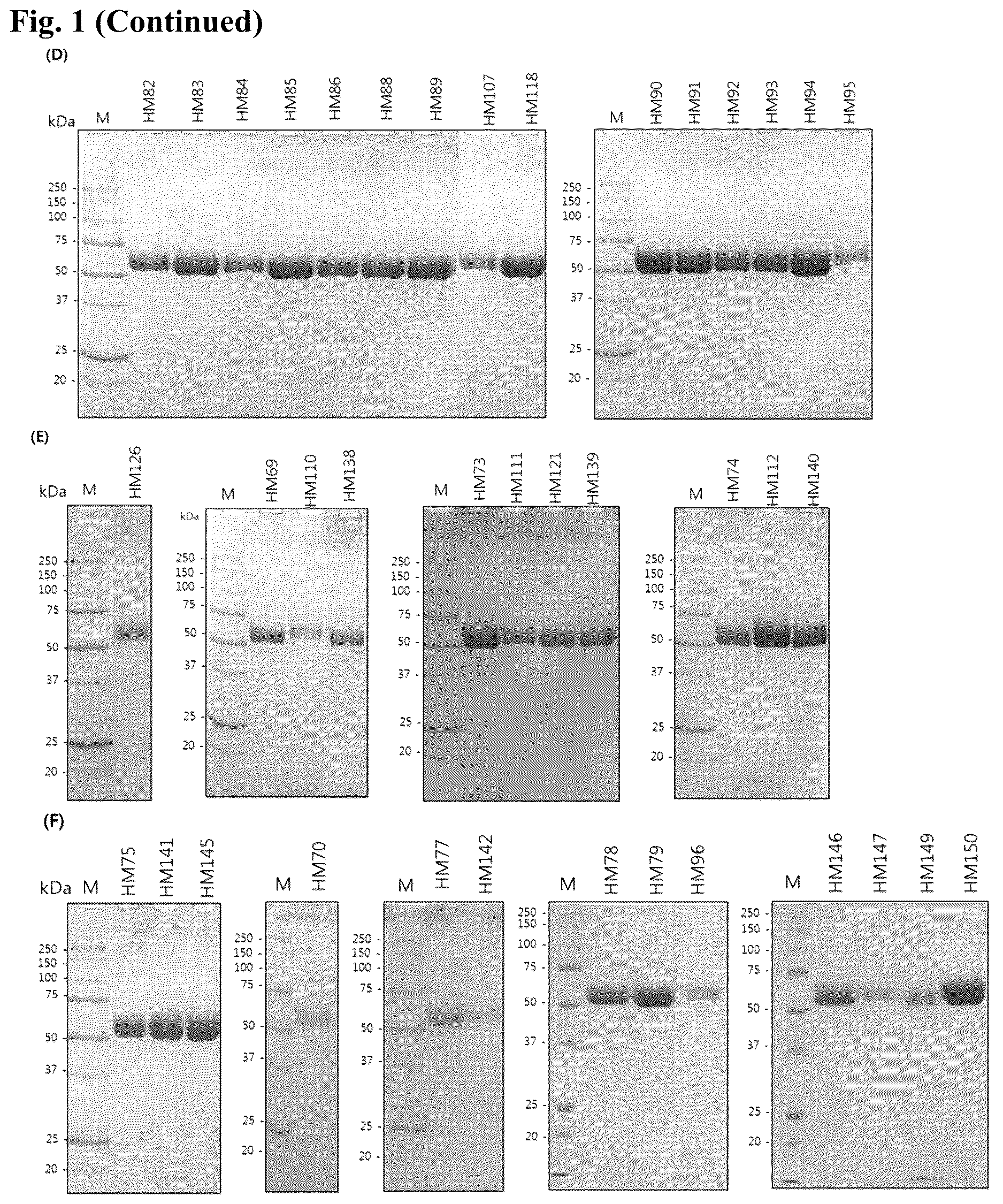 Patent US12618055 Figure 2 – Hyaluronidase variants with improved stability and pharmaceutical composition comprising the same