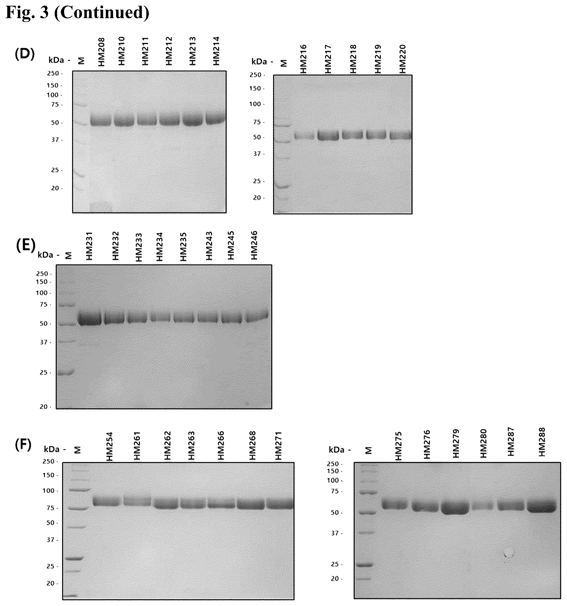 Patent US12618055 Figure 5 – Hyaluronidase variants with improved stability and pharmaceutical composition comprising the same