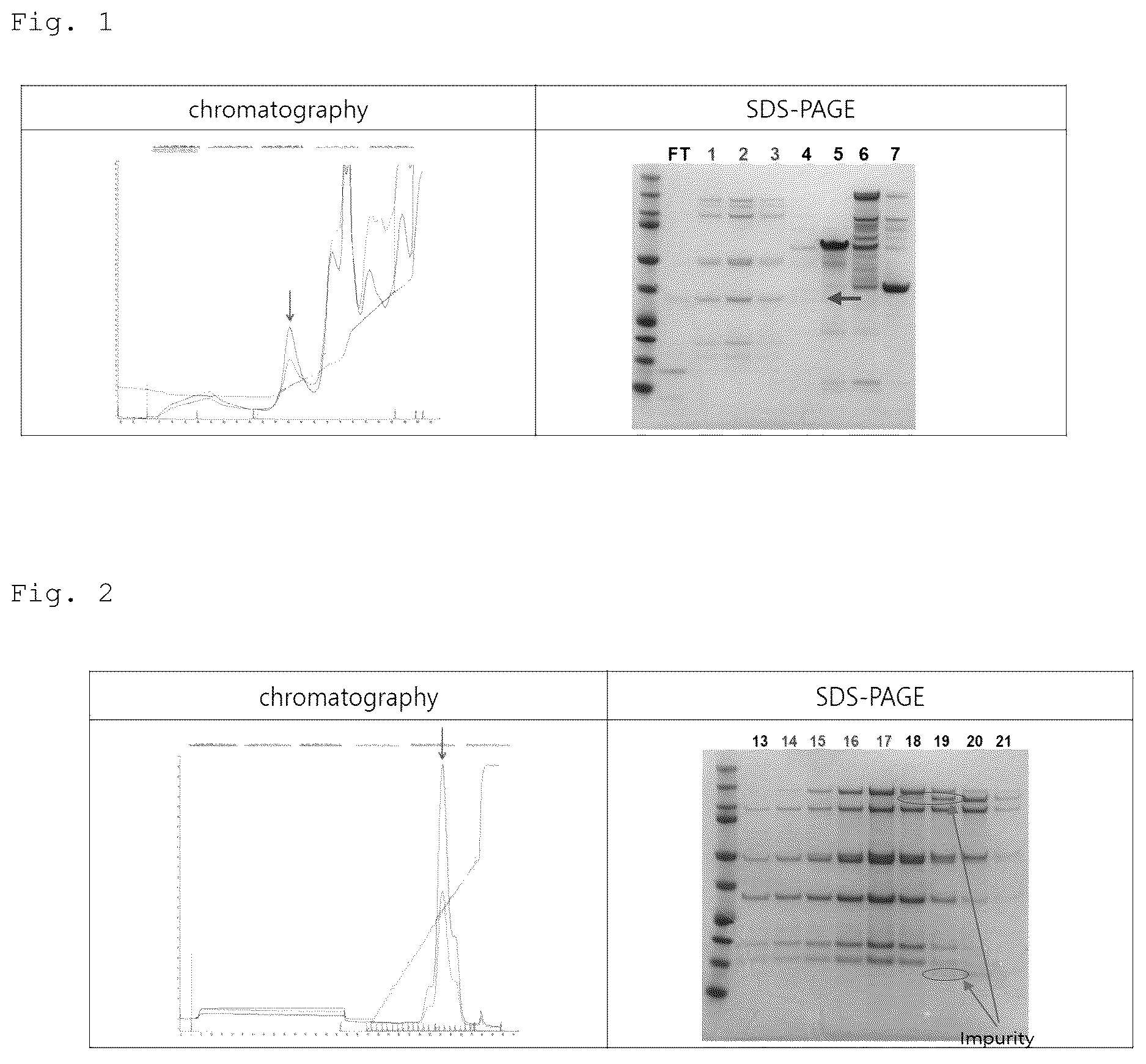 Patent US12618057 Figure 1 – Method of purifying botulinum toxin