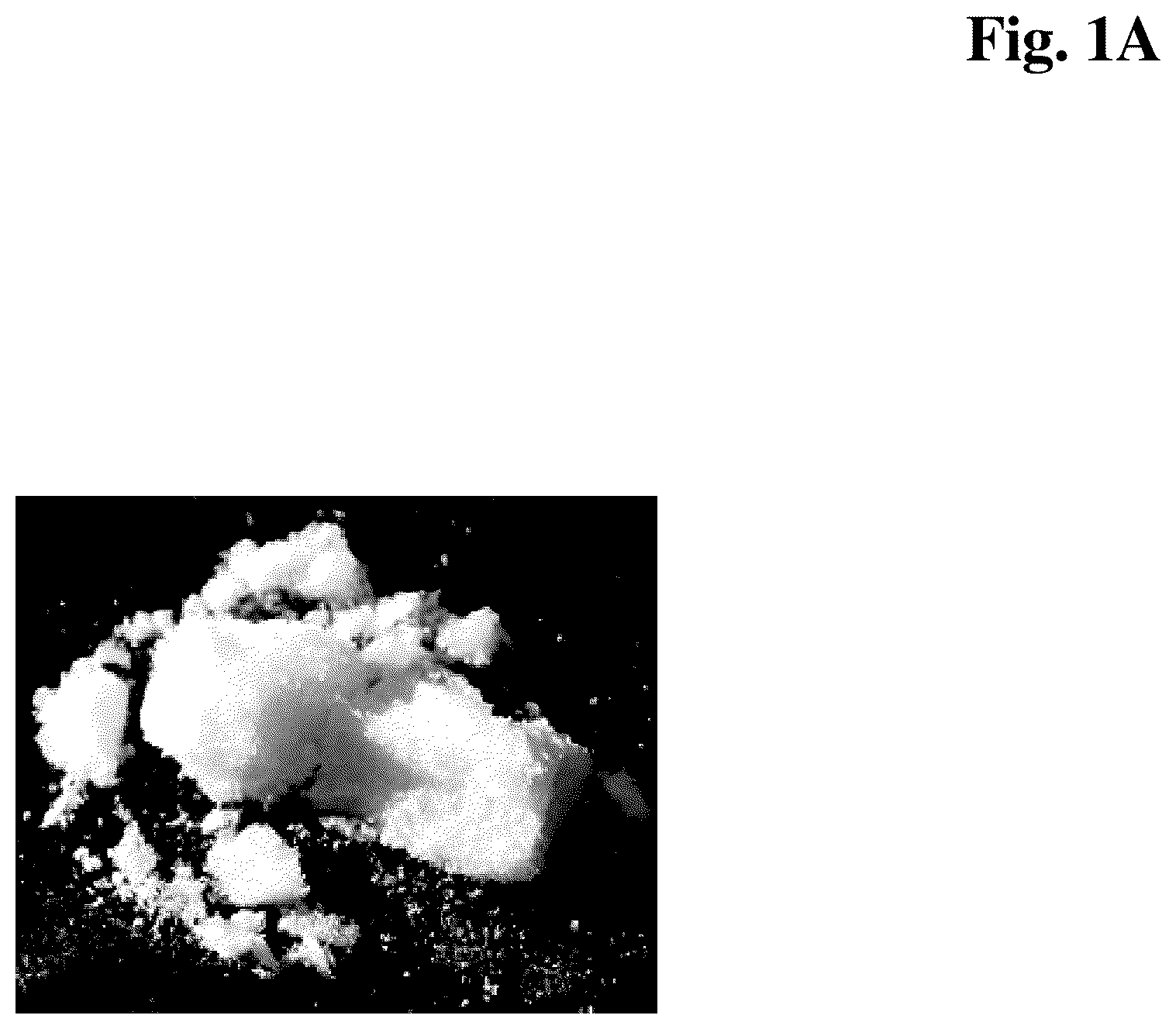 Patent US12618058 Figure 1 – Blends containing proteases