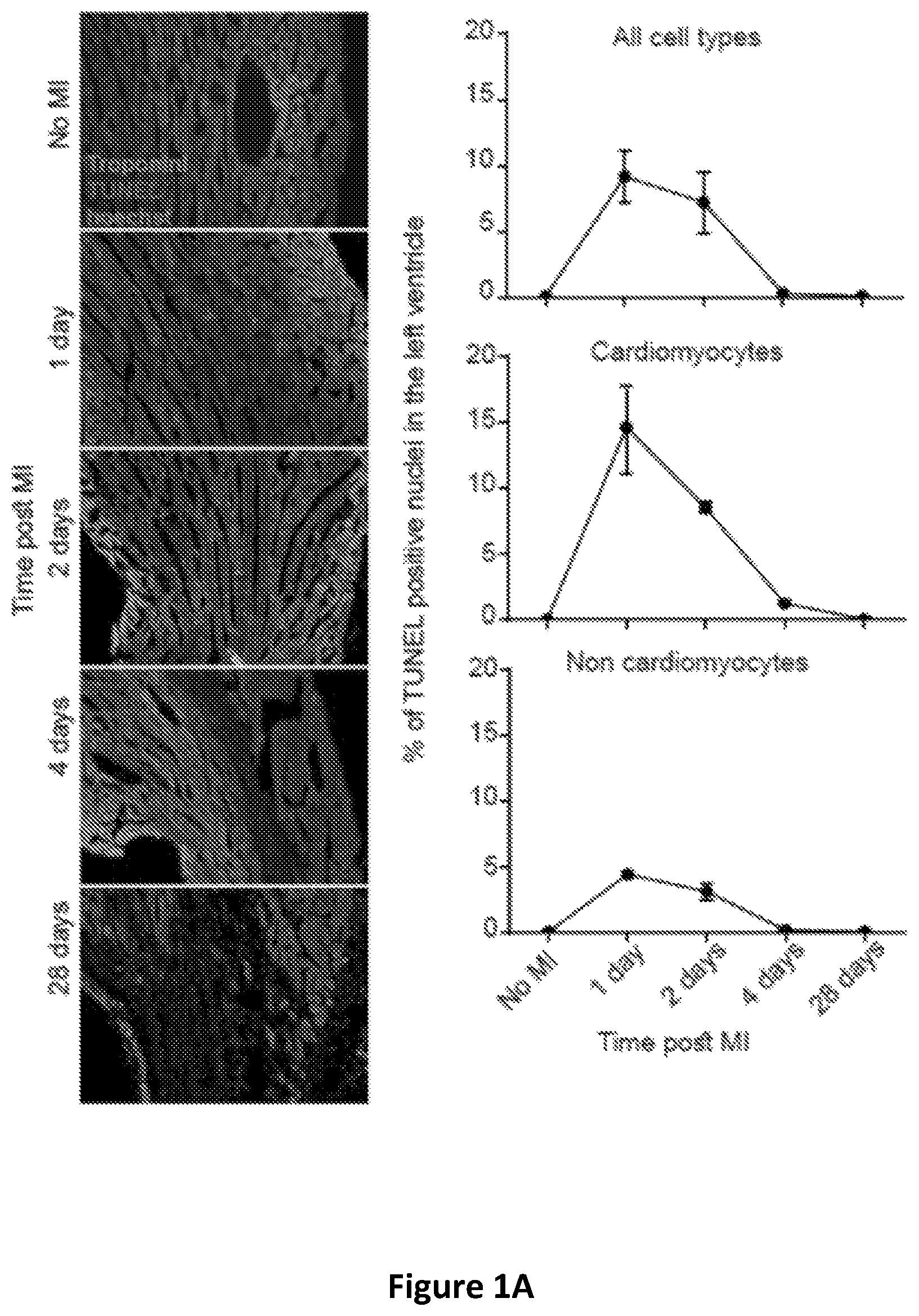 Patent US12618059 Figure 1 – Anc80 encoding sphingolipid-metabolizing proteins