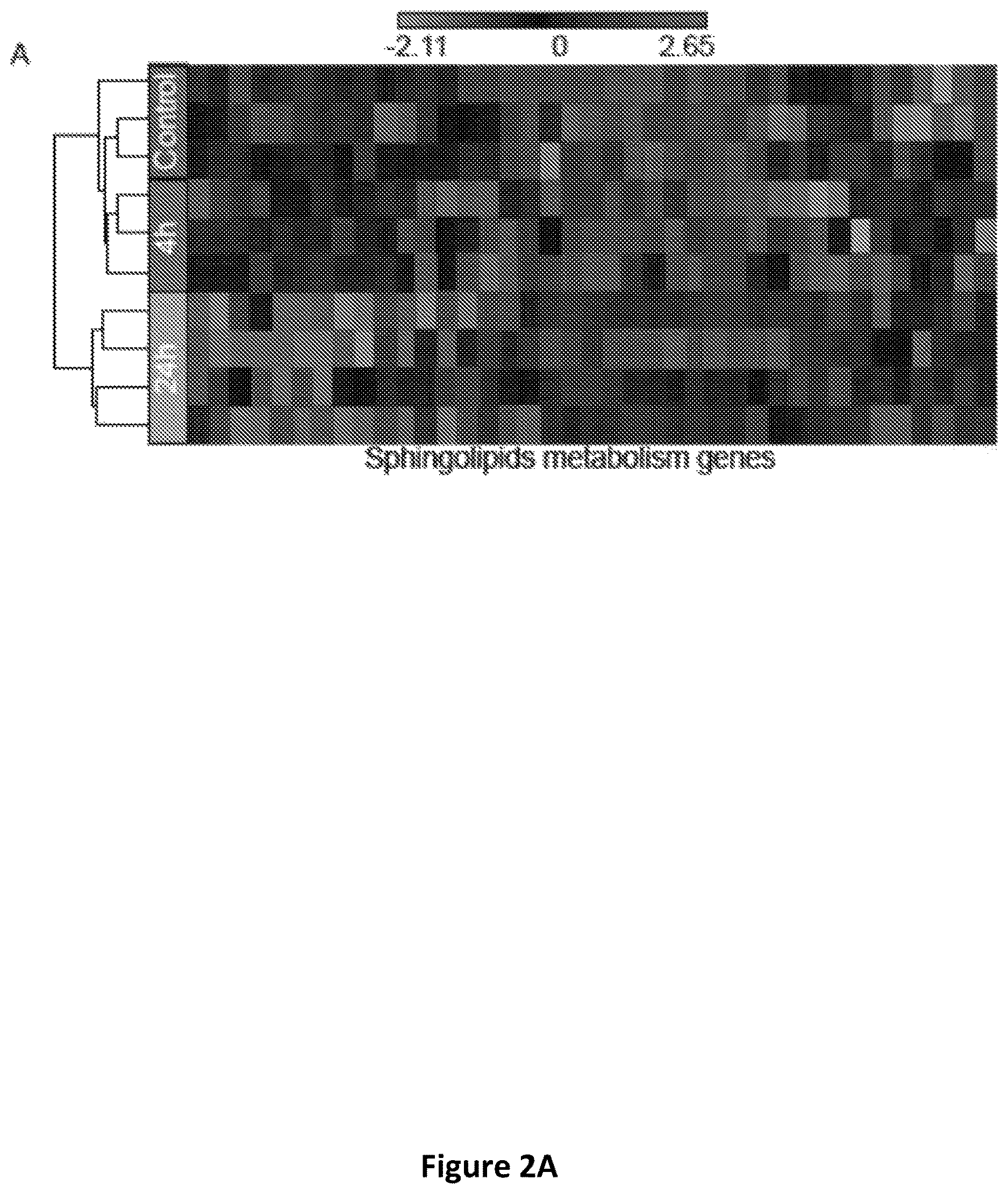 Patent US12618059 Figure 3 – Anc80 encoding sphingolipid-metabolizing proteins