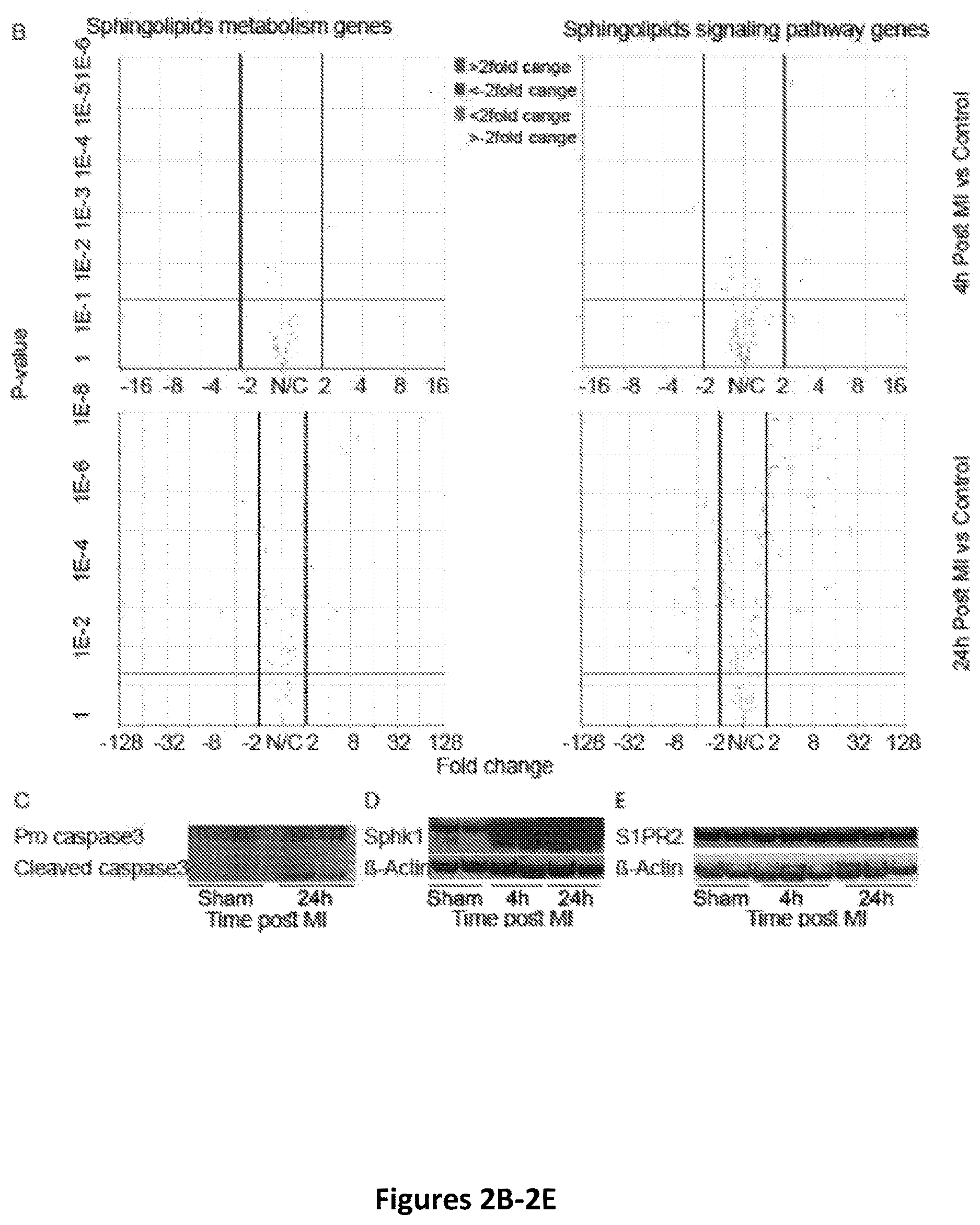 Patent US12618059 Figure 4 – Anc80 encoding sphingolipid-metabolizing proteins