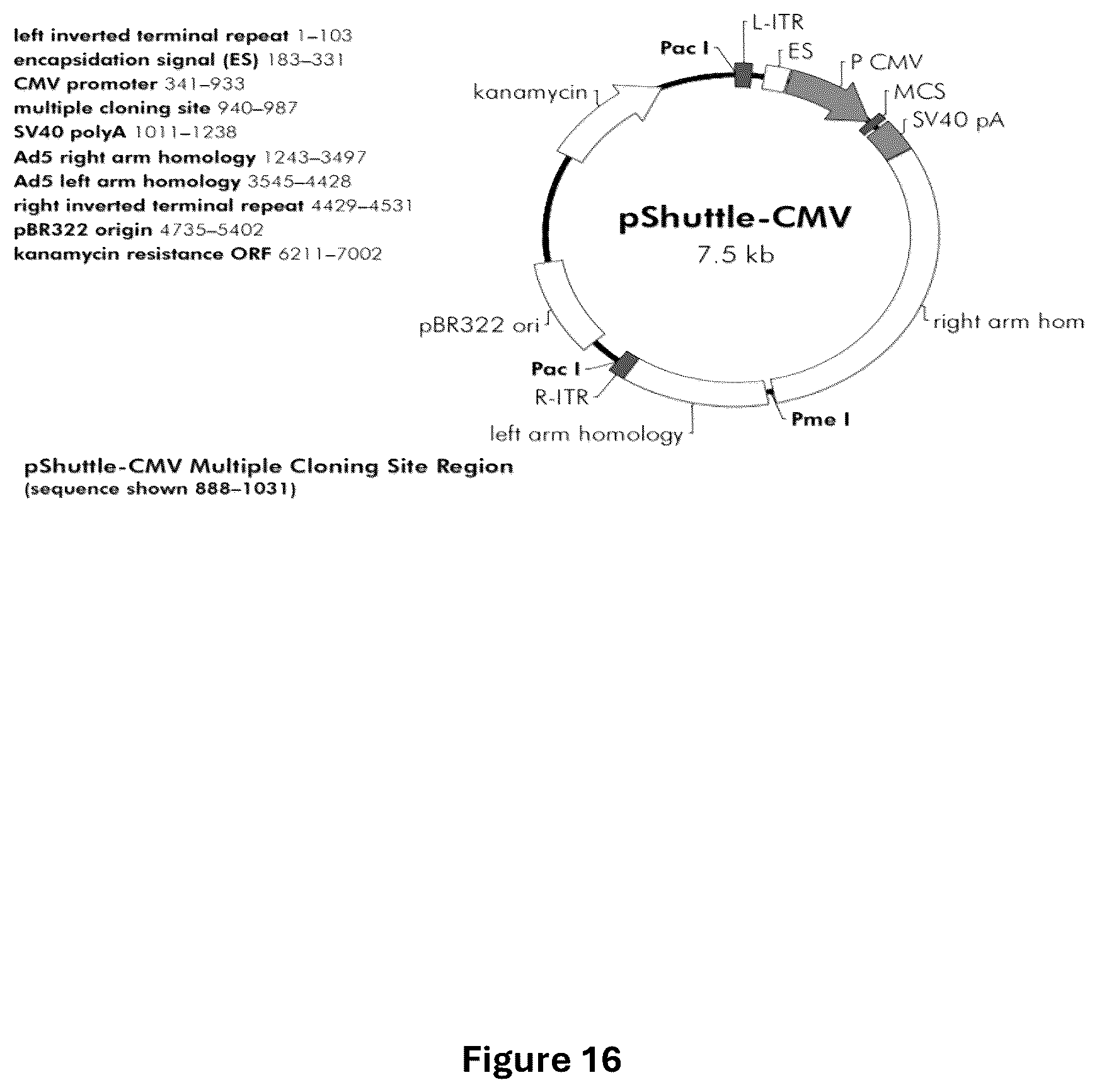 Patent US12618059 Figure 20 – Anc80 encoding sphingolipid-metabolizing proteins