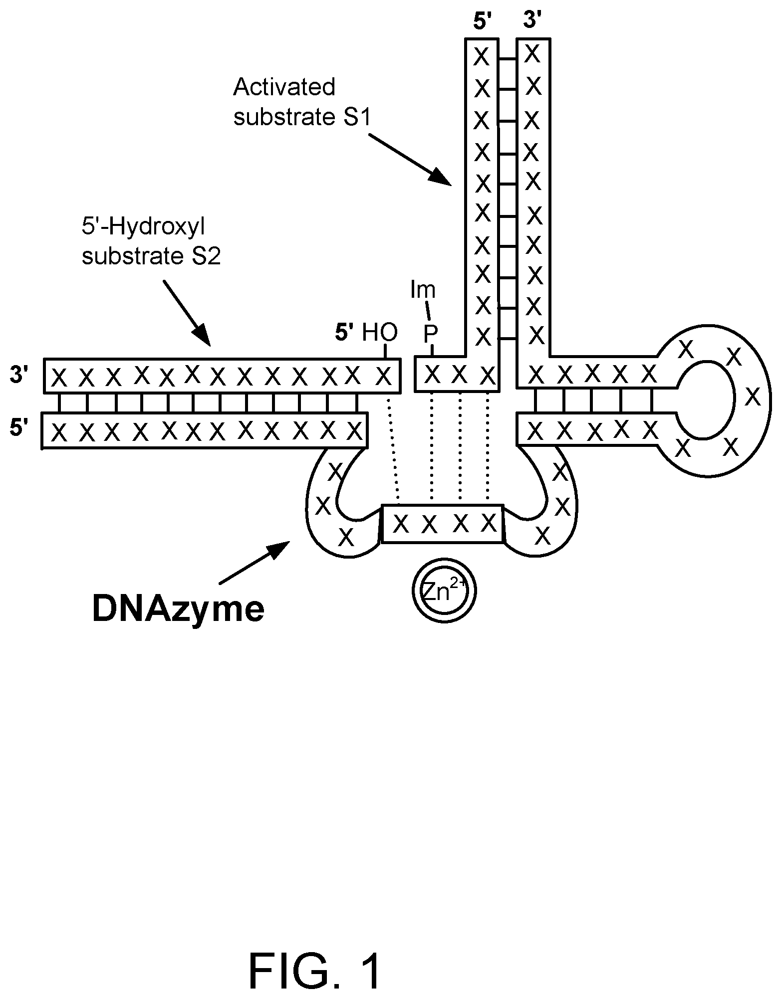 Patent US12618061 Figure 1 – Methods of gene assembly using DNAzymes and use in DNA data storage