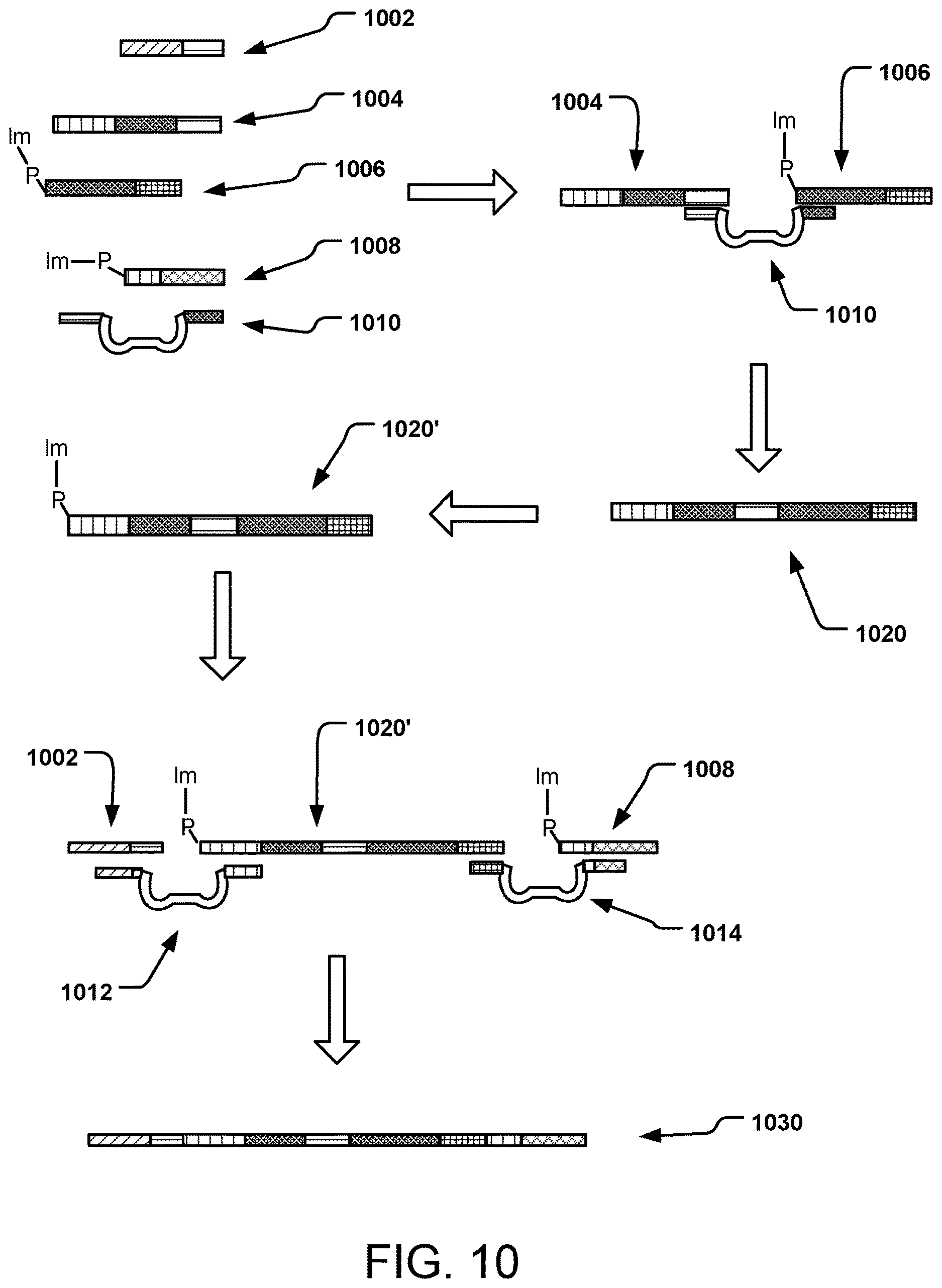 Patent US12618061 Figure 10 – Methods of gene assembly using DNAzymes and use in DNA data storage