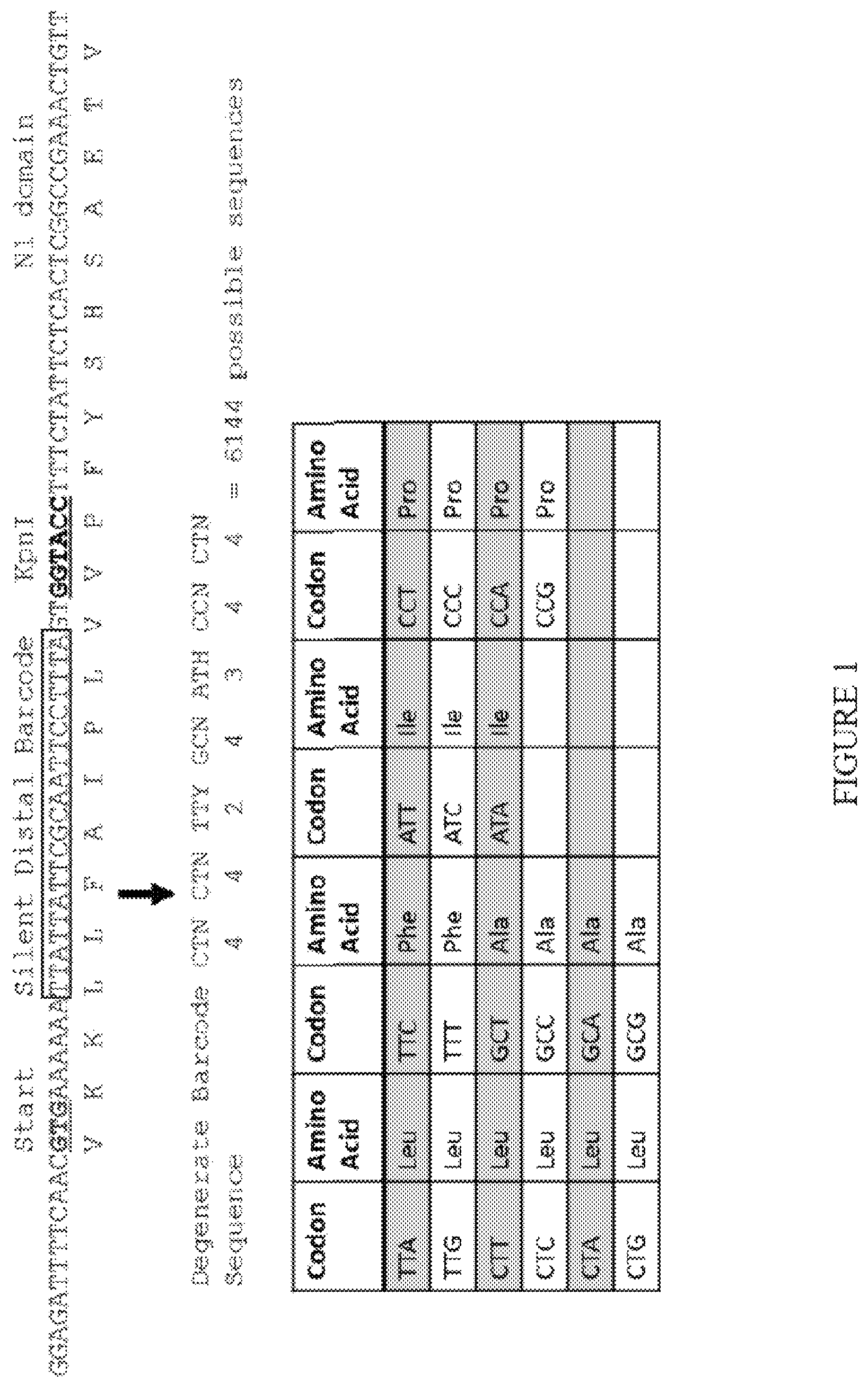 Patent US12618062 Figure 1 – Display of molecules on silently genetically encoded nanoscale carriers for determining synergistic molecular interactions