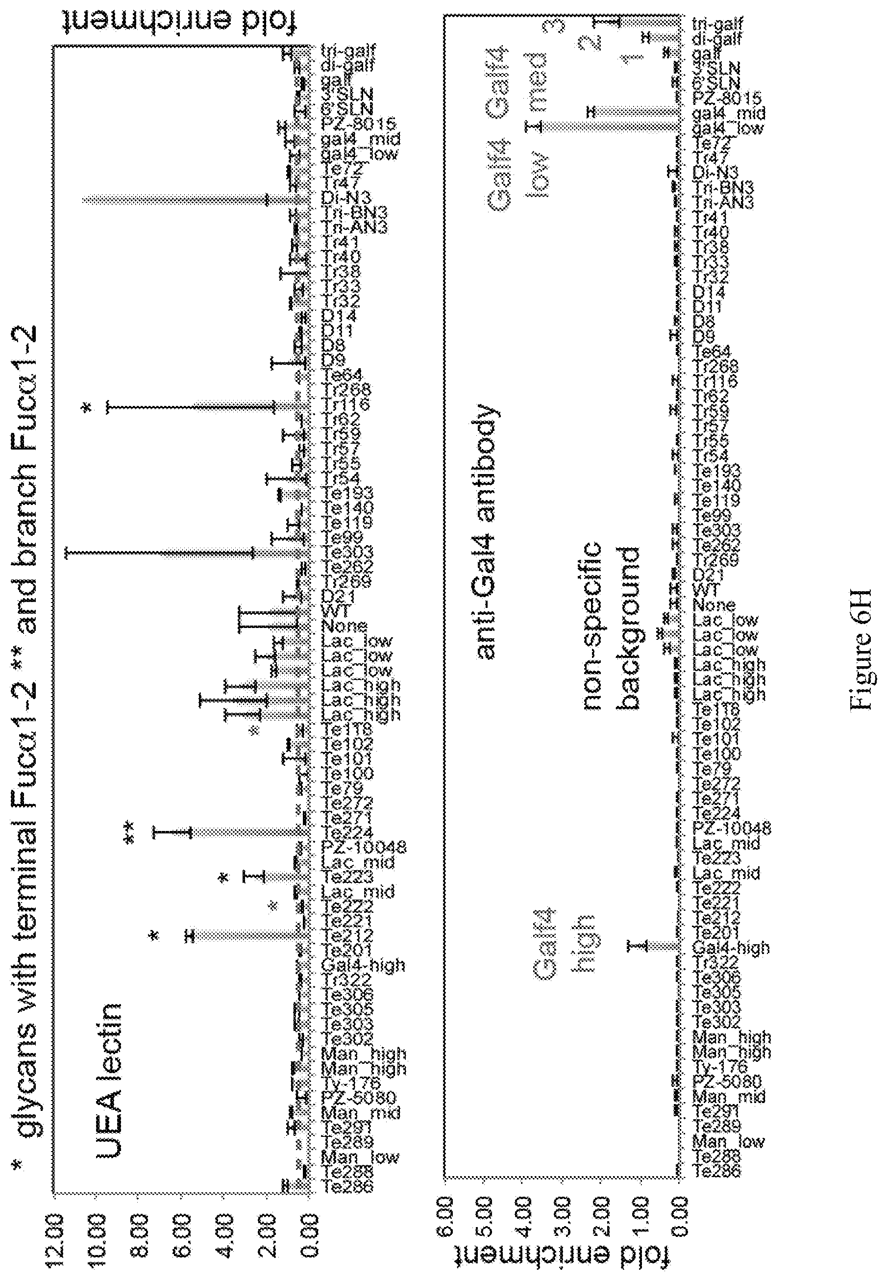 Patent US12618062 Figure 7 – Display of molecules on silently genetically encoded nanoscale carriers for determining synergistic molecular interactions