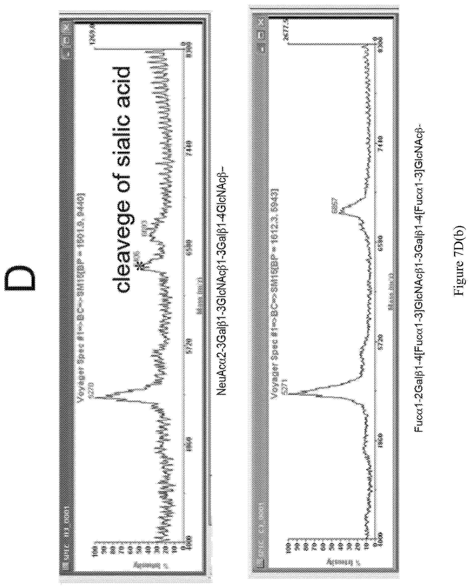 Patent US12618062 Figure 10 – Display of molecules on silently genetically encoded nanoscale carriers for determining synergistic molecular interactions