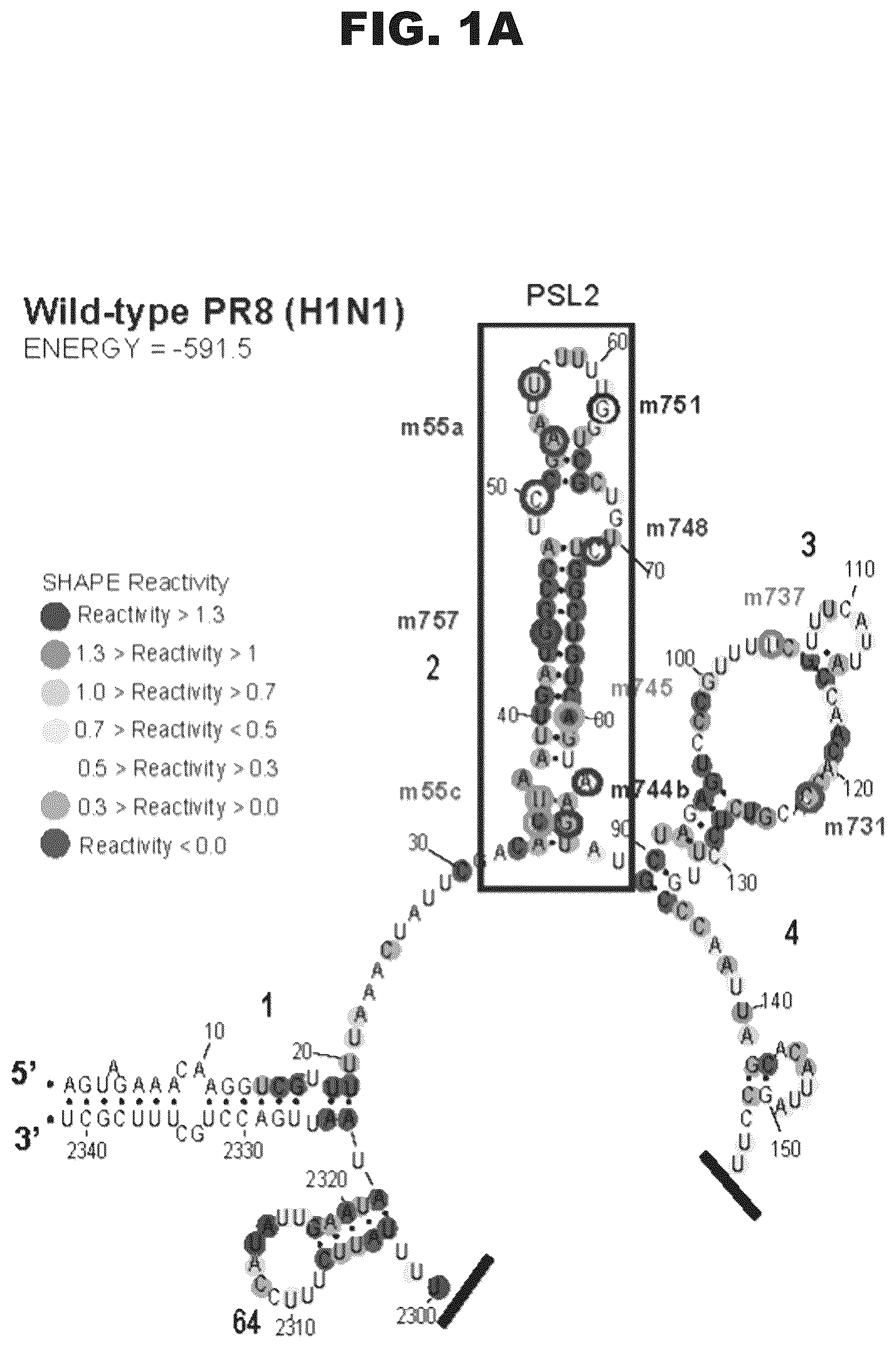 Patent US12618063 Figure 1 – Pan-genotypic agents against influenza virus and methods of using the same