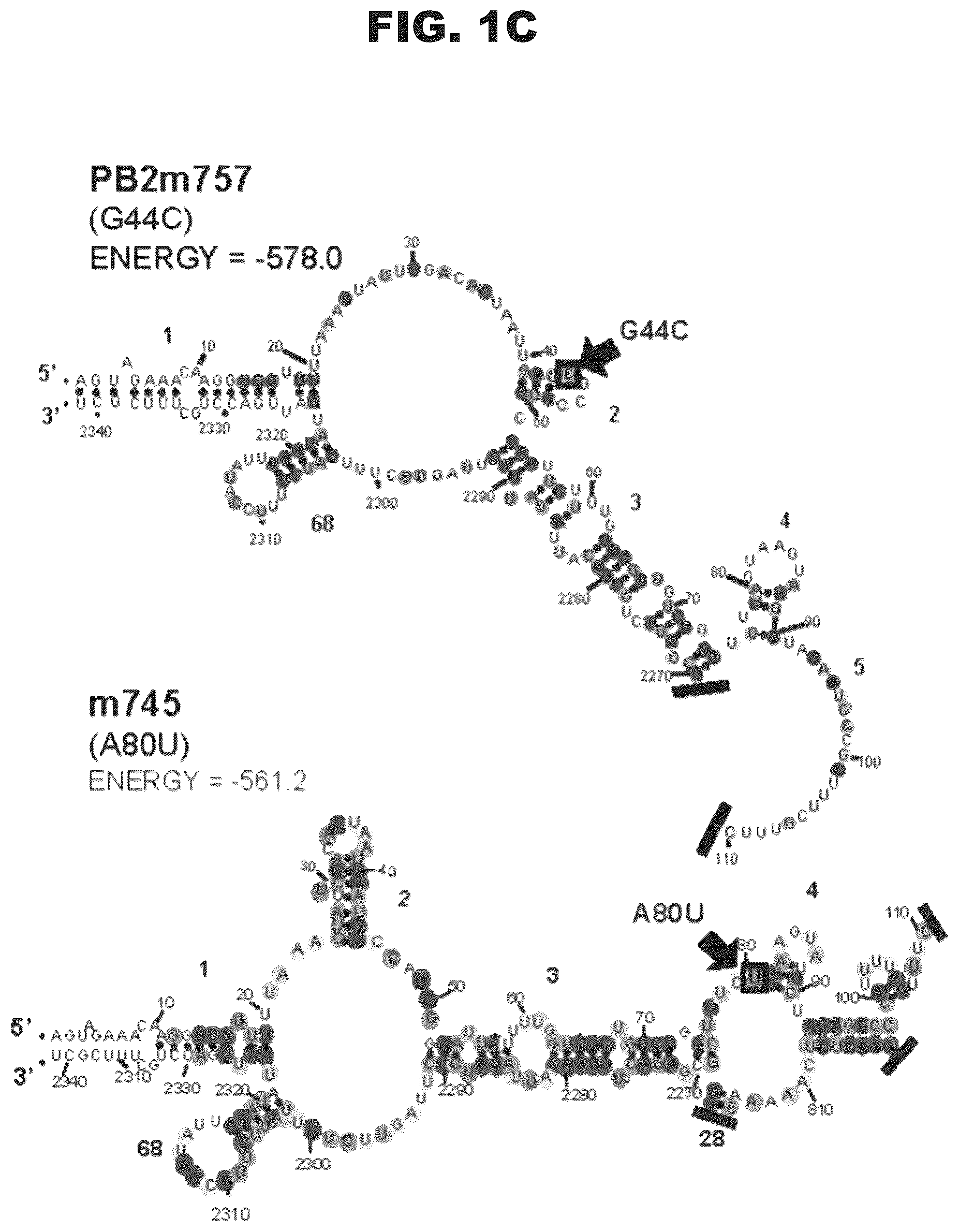 Patent US12618063 Figure 3 – Pan-genotypic agents against influenza virus and methods of using the same