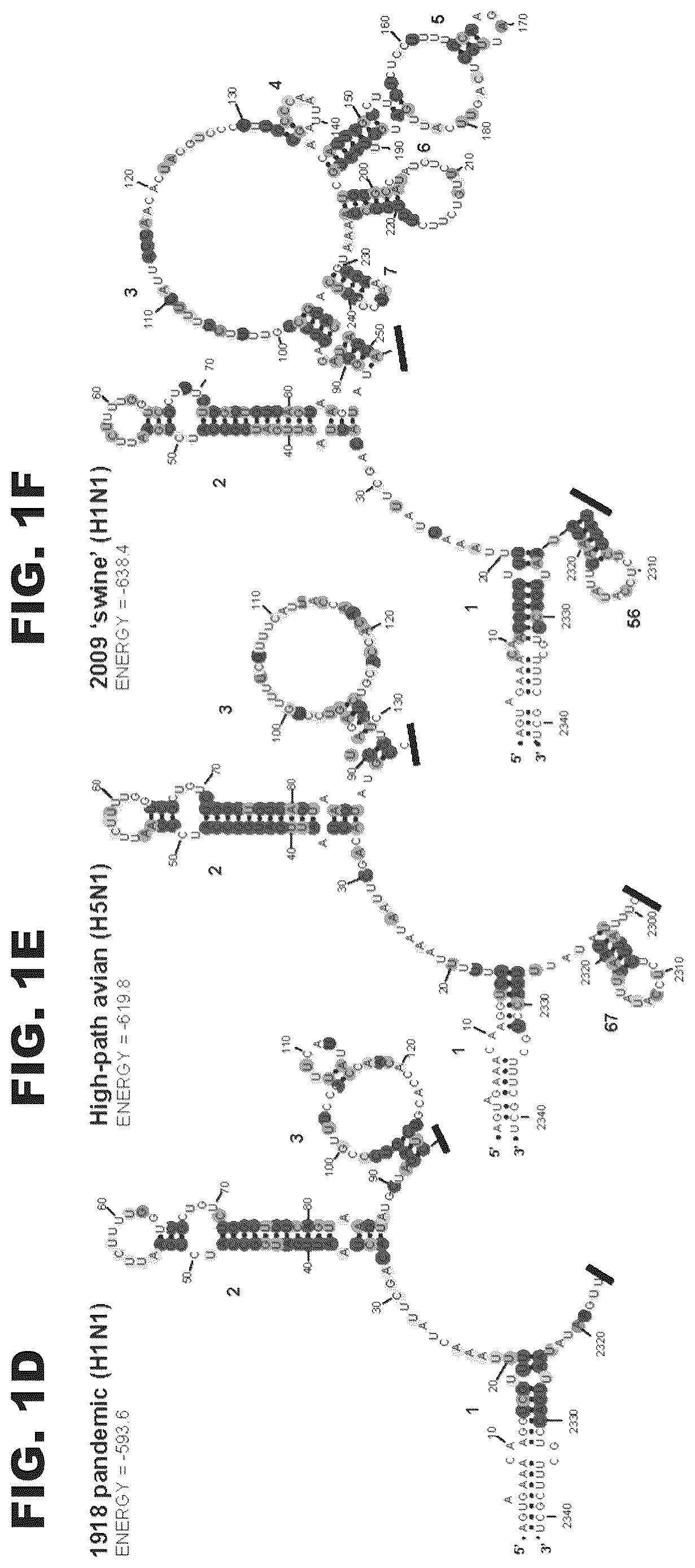 Patent US12618063 Figure 4 – Pan-genotypic agents against influenza virus and methods of using the same
