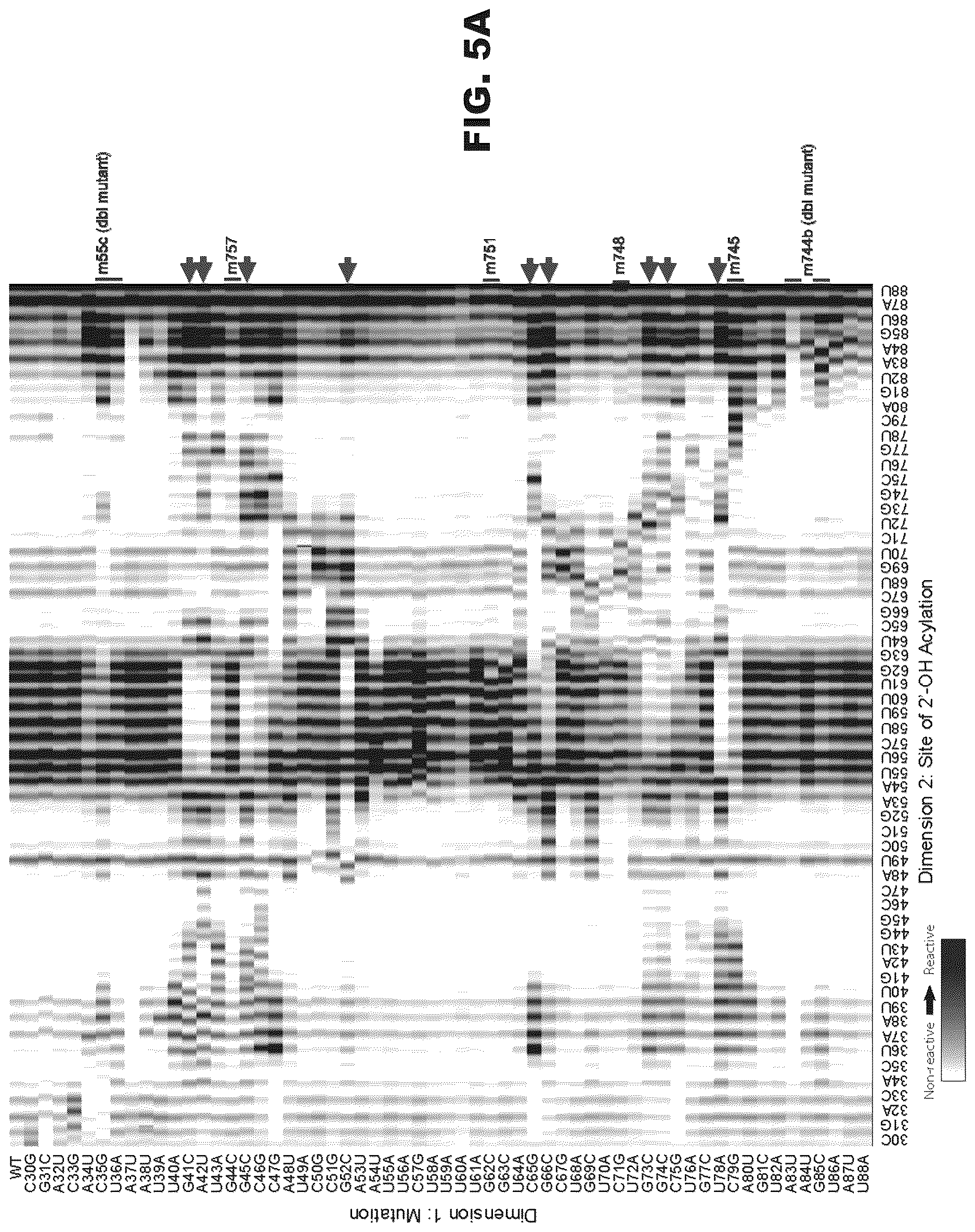 Patent US12618063 Figure 12 – Pan-genotypic agents against influenza virus and methods of using the same