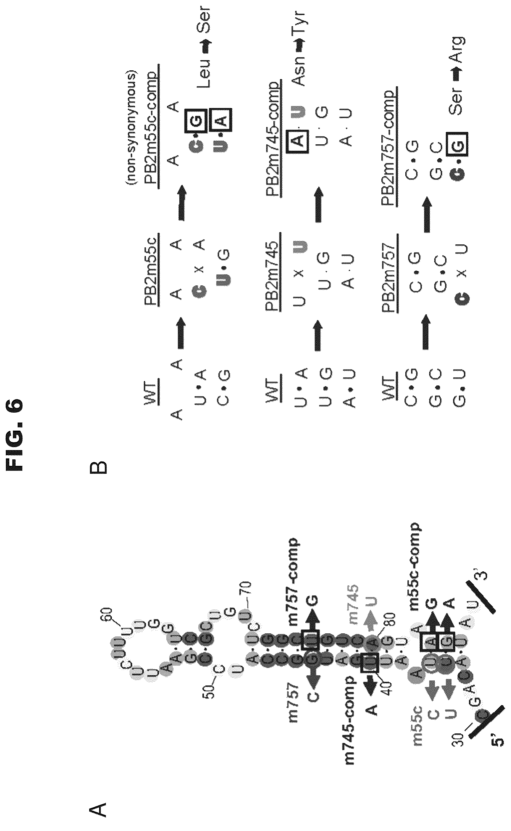 Patent US12618063 Figure 14 – Pan-genotypic agents against influenza virus and methods of using the same