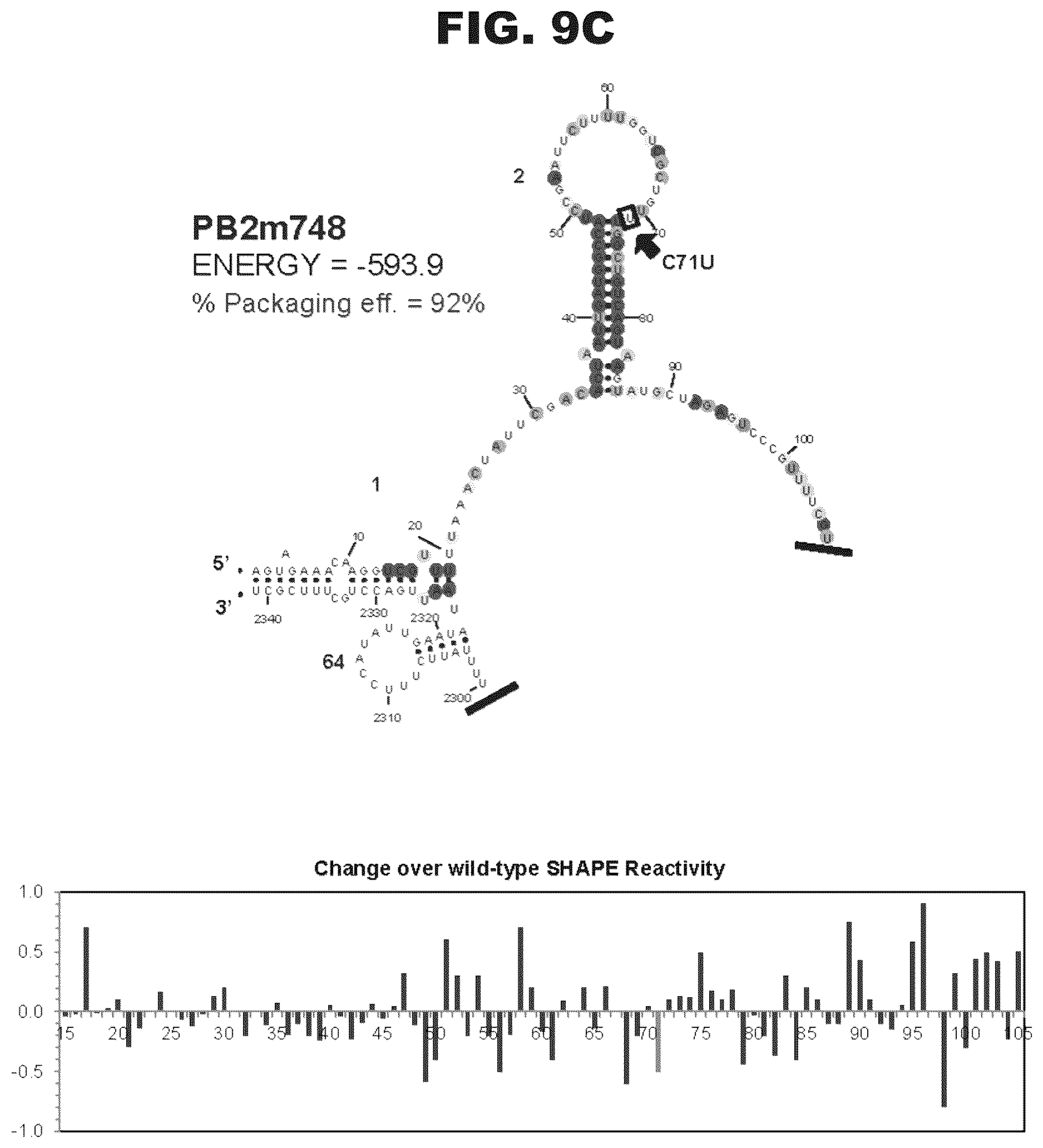 Patent US12618063 Figure 19 – Pan-genotypic agents against influenza virus and methods of using the same