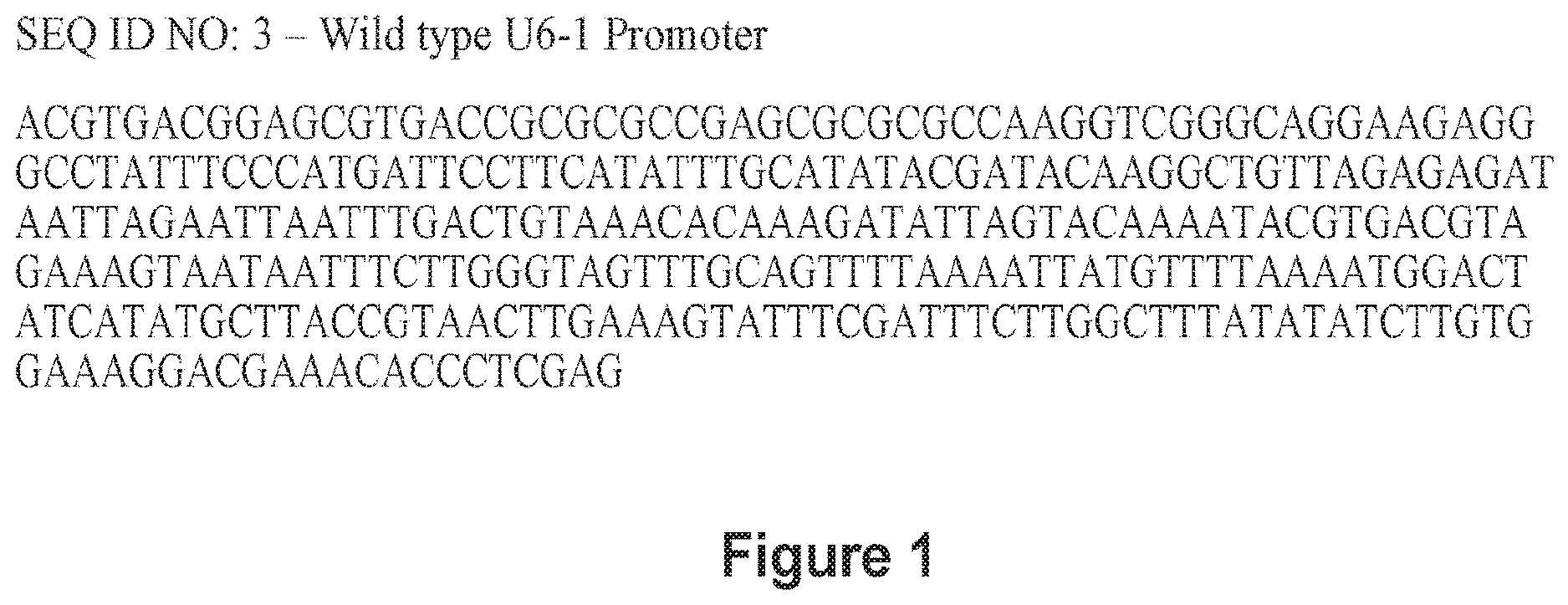 Patent US12618065 — MiRNA detargeting system for tissue specific interference — Figure 1