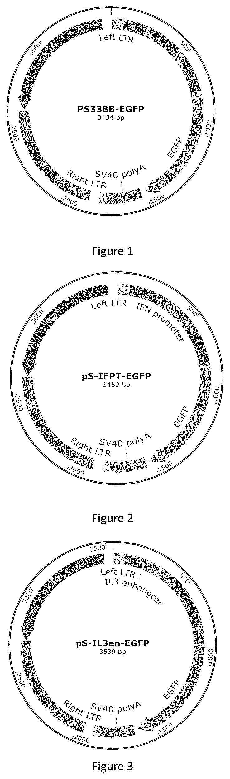 Patent US12618066 Figure 1 – Promoter having high activity in activated T-cell