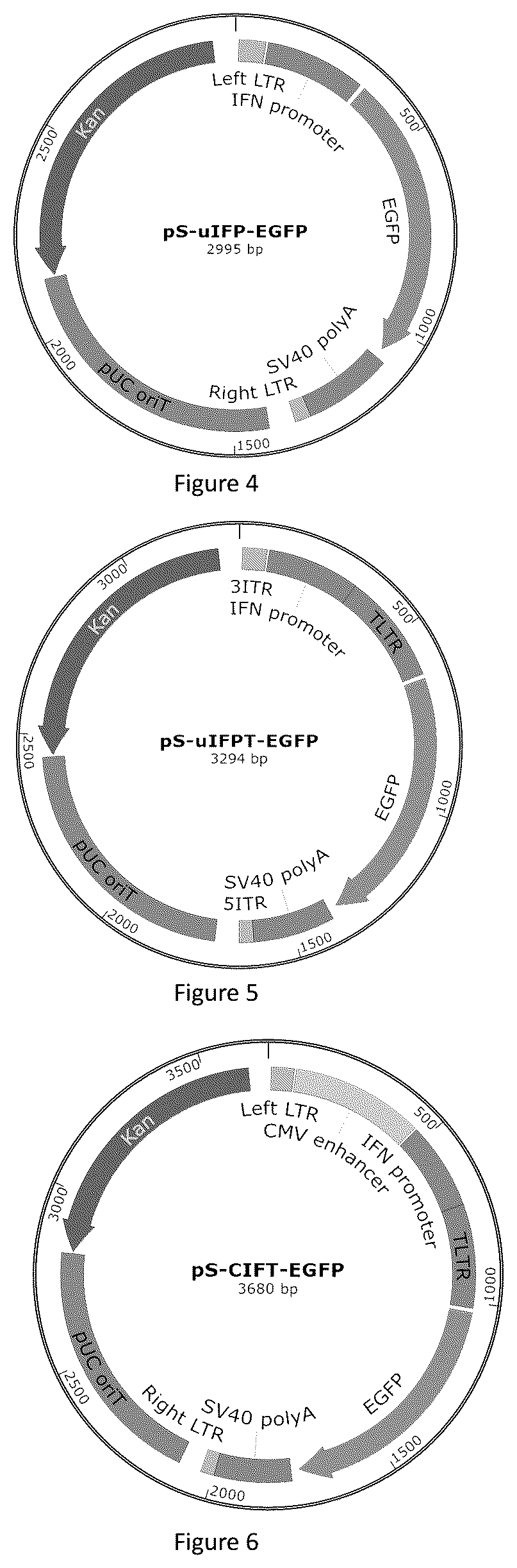 Patent US12618066 Figure 2 – Promoter having high activity in activated T-cell