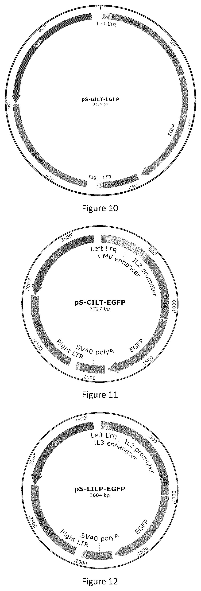 Patent US12618066 Figure 4 – Promoter having high activity in activated T-cell
