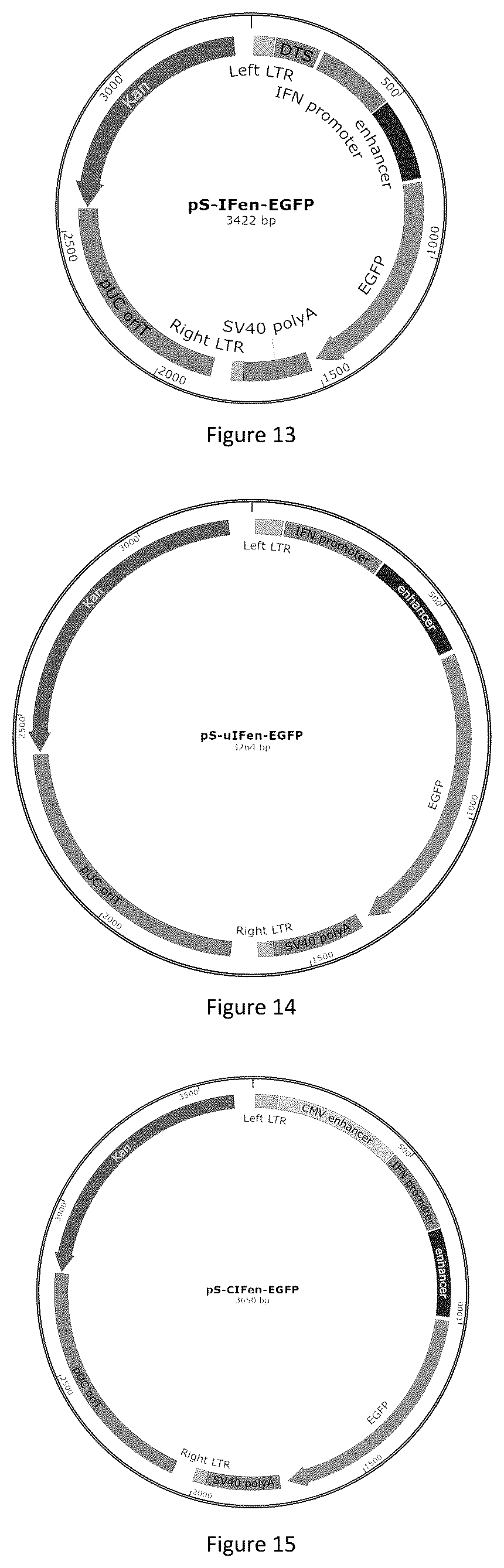 Patent US12618066 Figure 5 – Promoter having high activity in activated T-cell