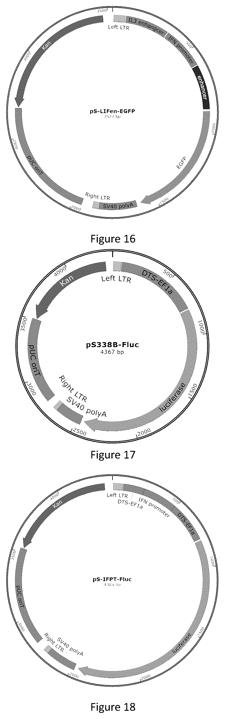 Patent US12618066 Figure 6 – Promoter having high activity in activated T-cell