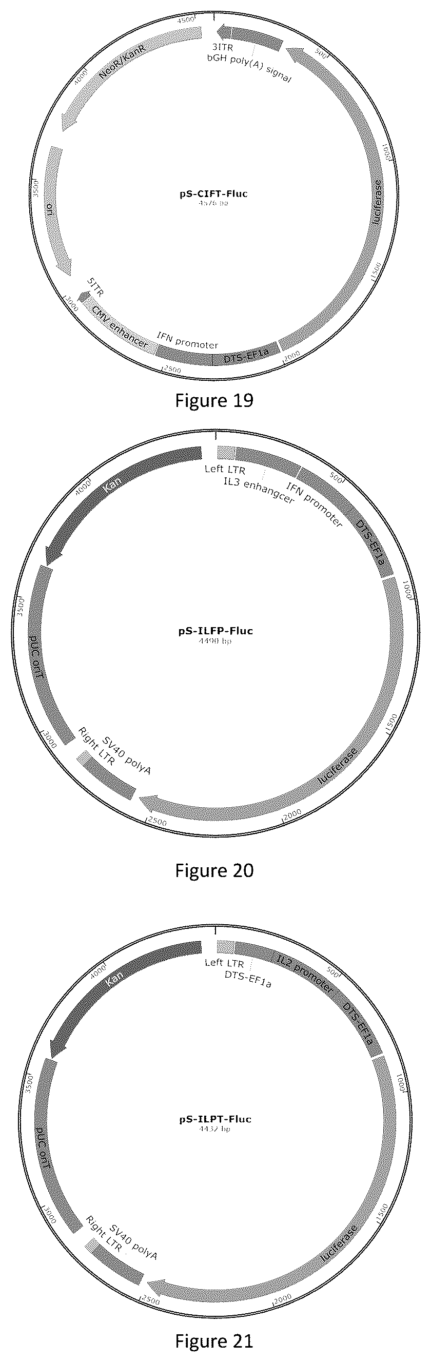 Patent US12618066 Figure 7 – Promoter having high activity in activated T-cell