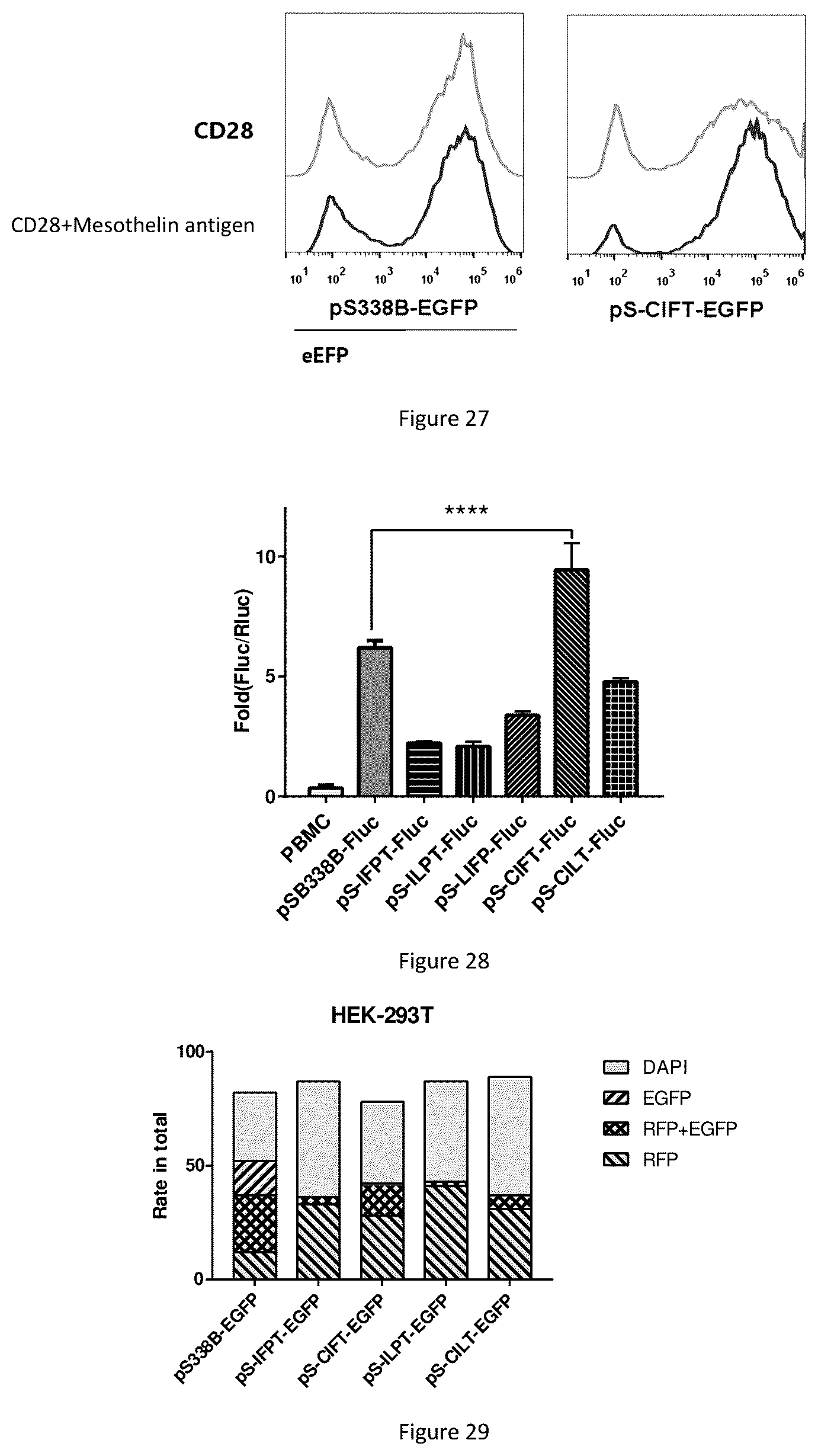 Patent US12618066 Figure 11 – Promoter having high activity in activated T-cell