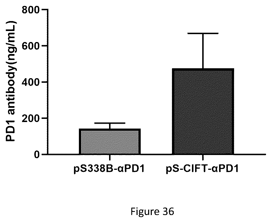Patent US12618066 Figure 14 – Promoter having high activity in activated T-cell