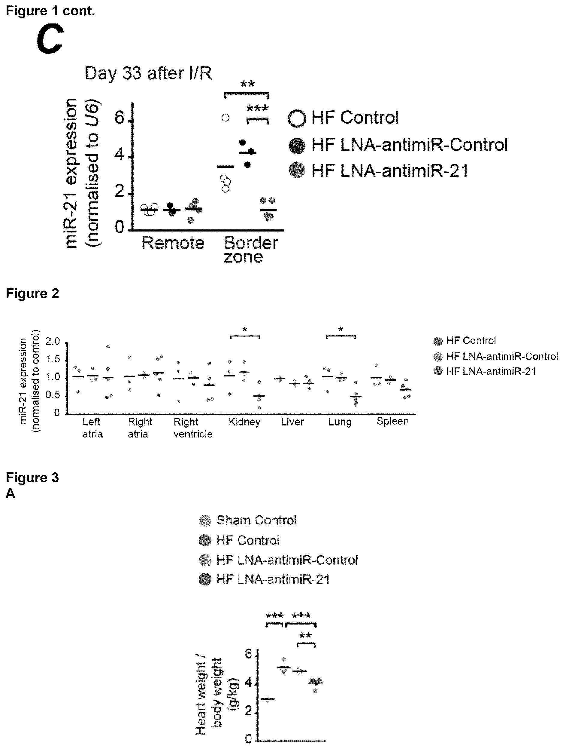 Patent US12618067 Figure 2 – Targeted delivery of an inhibitor of miR-21 to macrophages for the treatment of pulmonary fibrosis