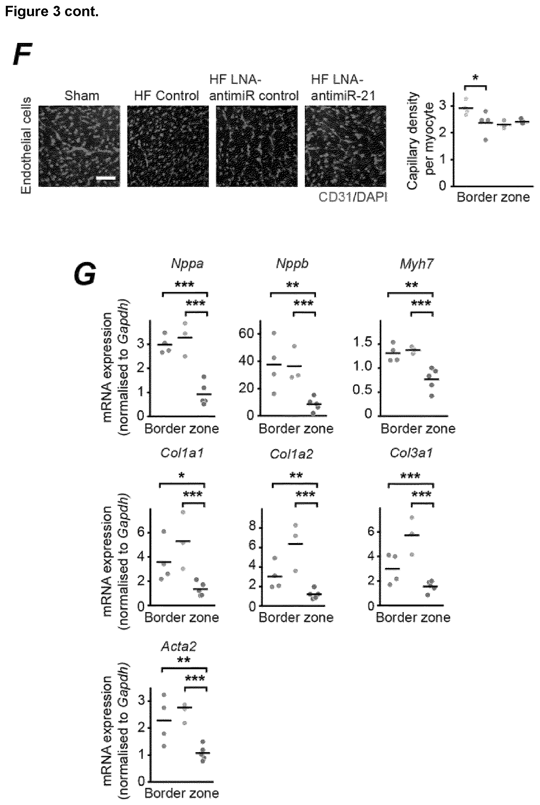 Patent US12618067 Figure 4 – Targeted delivery of an inhibitor of miR-21 to macrophages for the treatment of pulmonary fibrosis