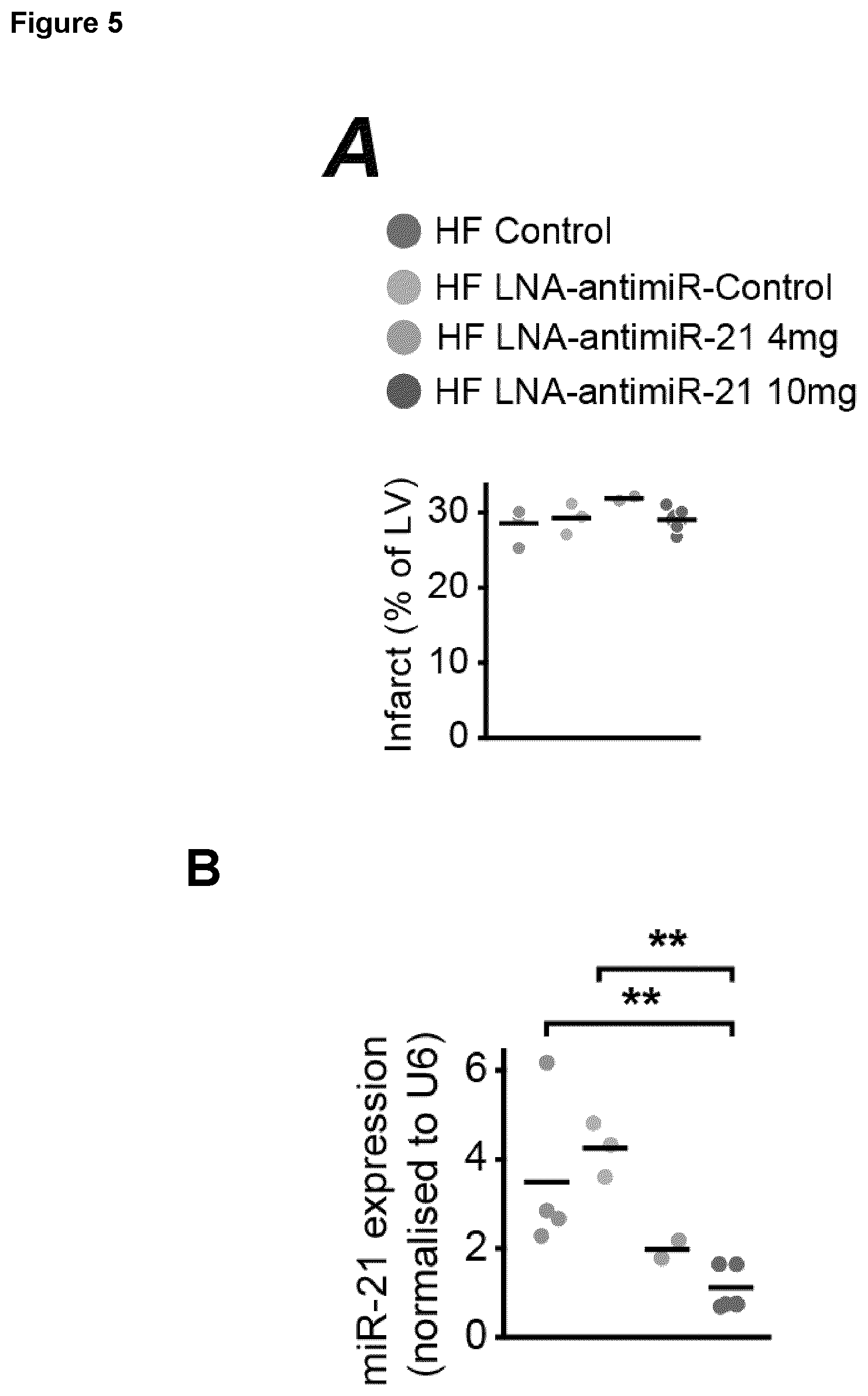 Patent US12618067 Figure 9 – Targeted delivery of an inhibitor of miR-21 to macrophages for the treatment of pulmonary fibrosis