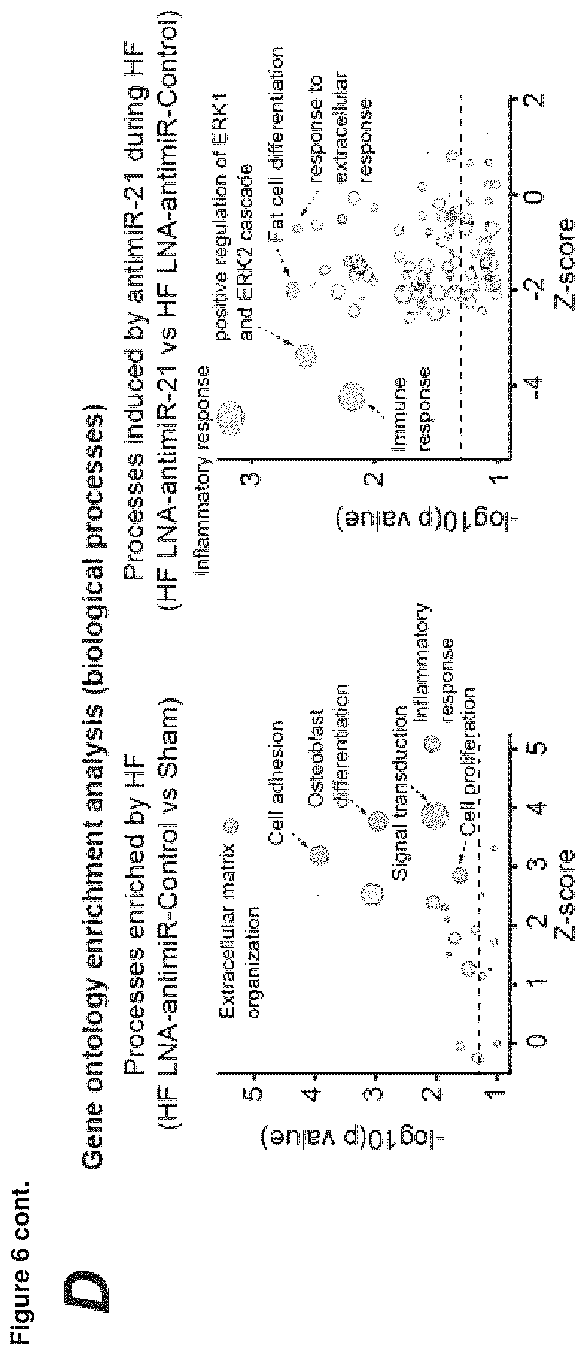 Patent US12618067 Figure 13 – Targeted delivery of an inhibitor of miR-21 to macrophages for the treatment of pulmonary fibrosis