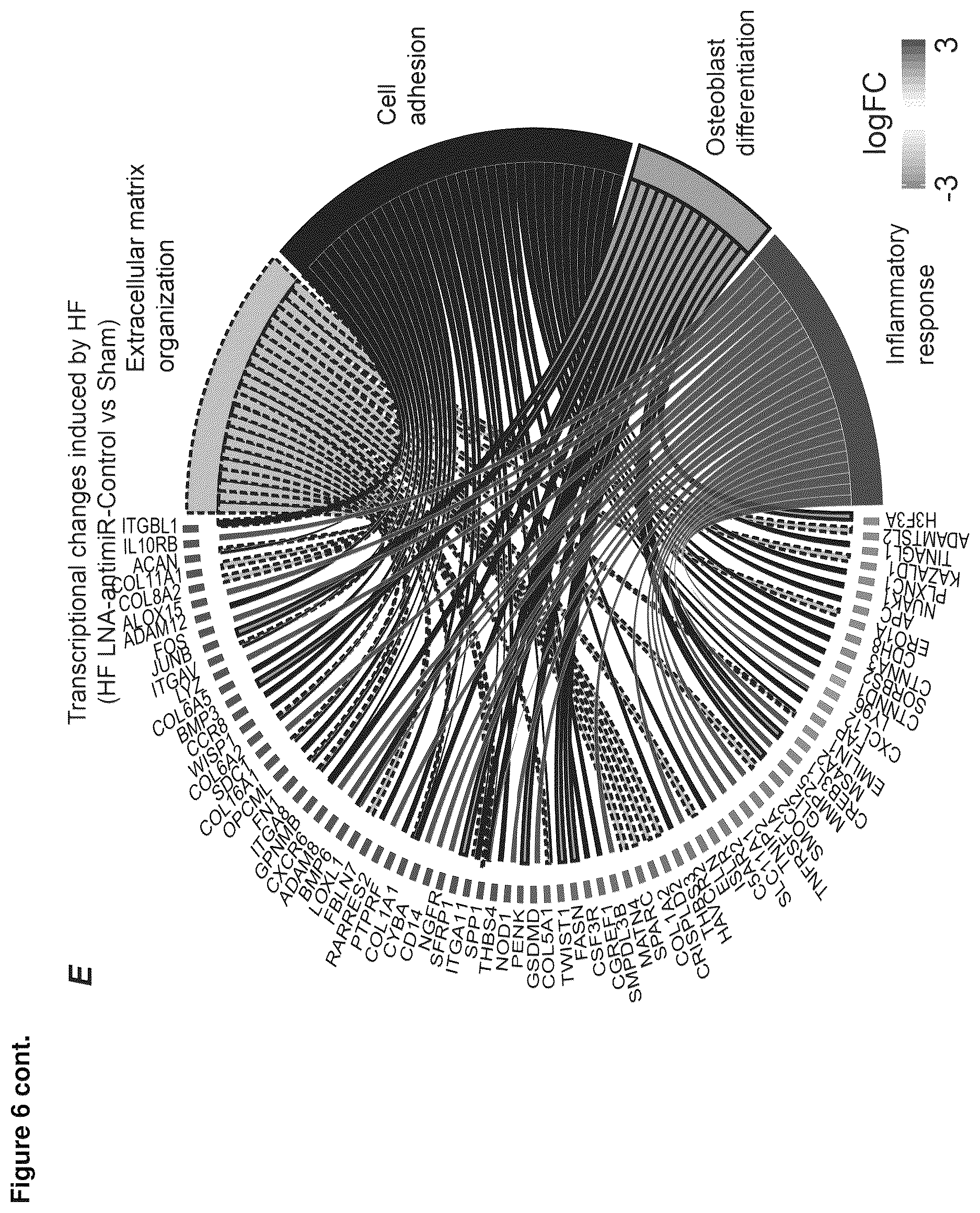 Patent US12618067 Figure 14 – Targeted delivery of an inhibitor of miR-21 to macrophages for the treatment of pulmonary fibrosis