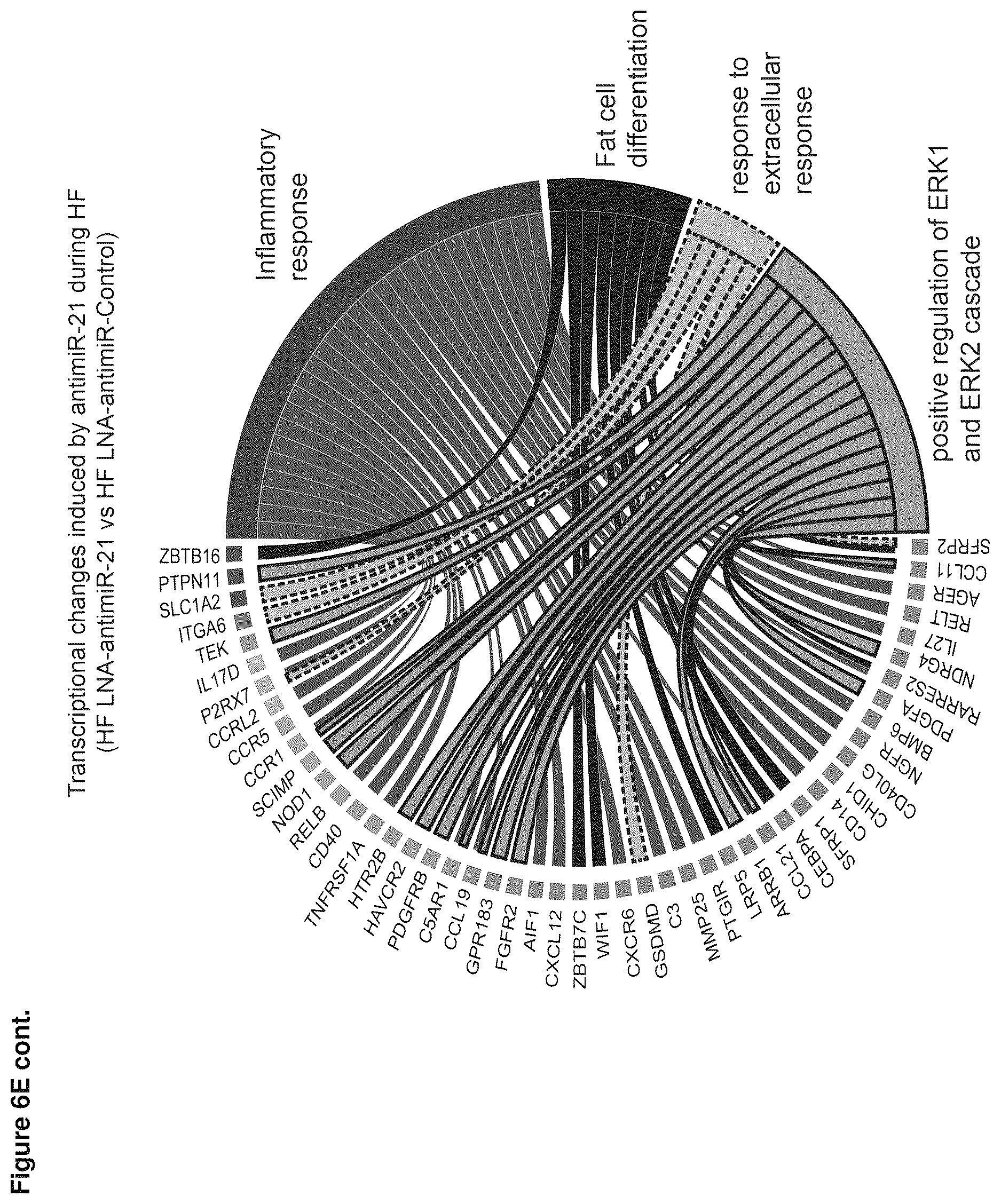 Patent US12618067 Figure 15 – Targeted delivery of an inhibitor of miR-21 to macrophages for the treatment of pulmonary fibrosis