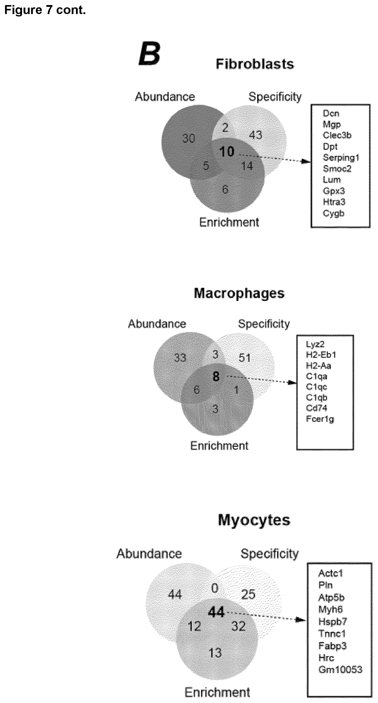 Patent US12618067 Figure 18 – Targeted delivery of an inhibitor of miR-21 to macrophages for the treatment of pulmonary fibrosis