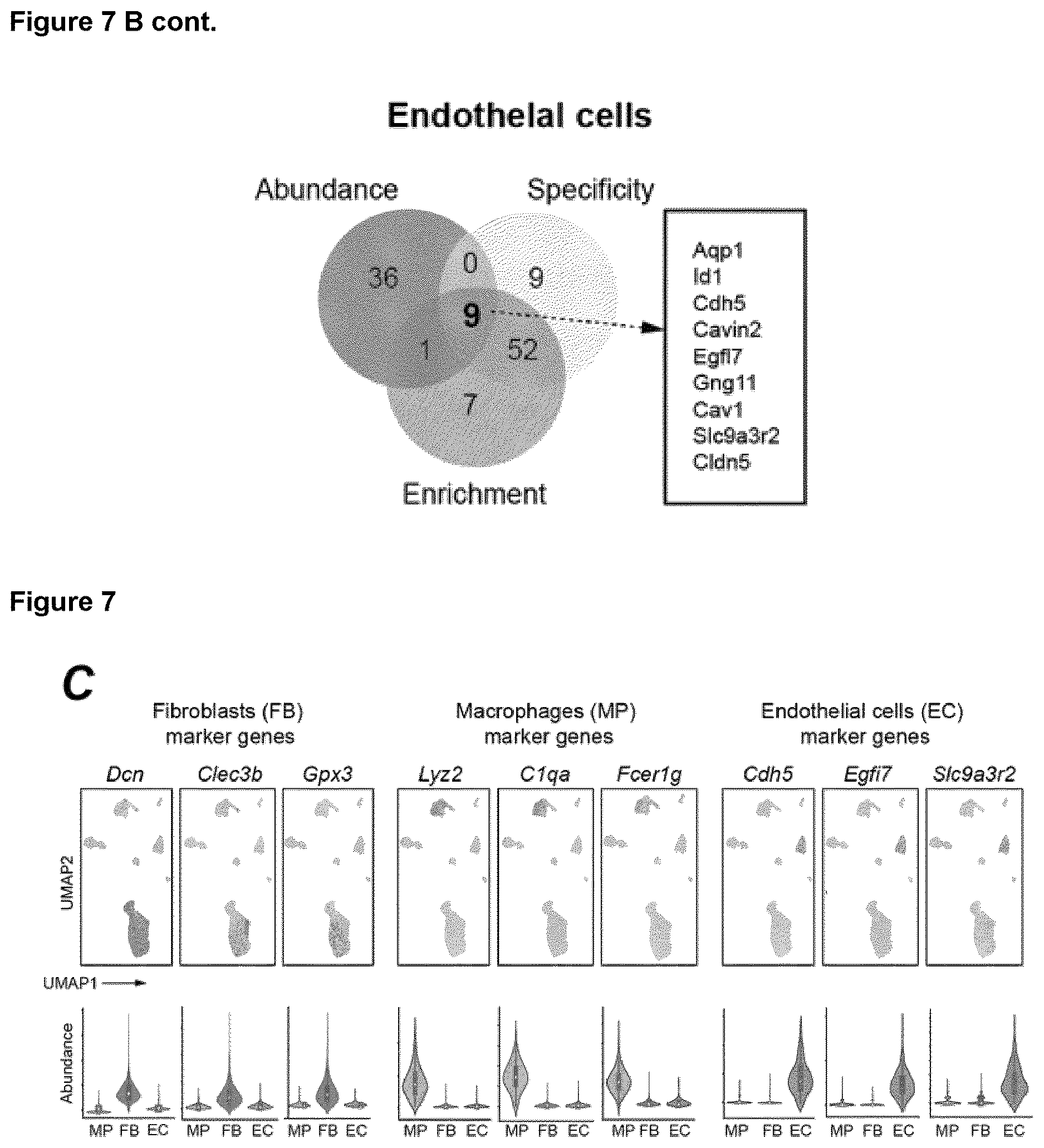 Patent US12618067 Figure 19 – Targeted delivery of an inhibitor of miR-21 to macrophages for the treatment of pulmonary fibrosis